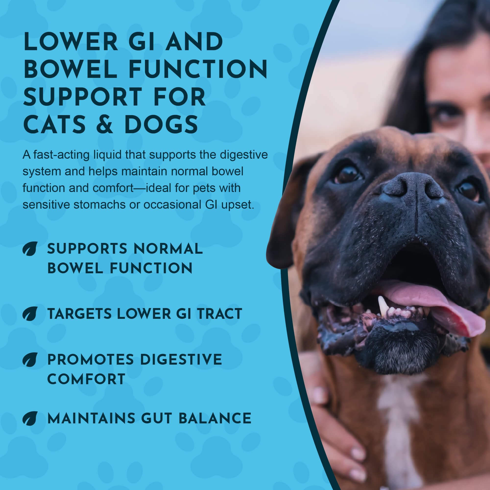 Animal Essentials Colon Rescue for Dogs & Cats - Constipation Relief, Stool Softener with Slippery Elm, Marshmallow Root, Licori