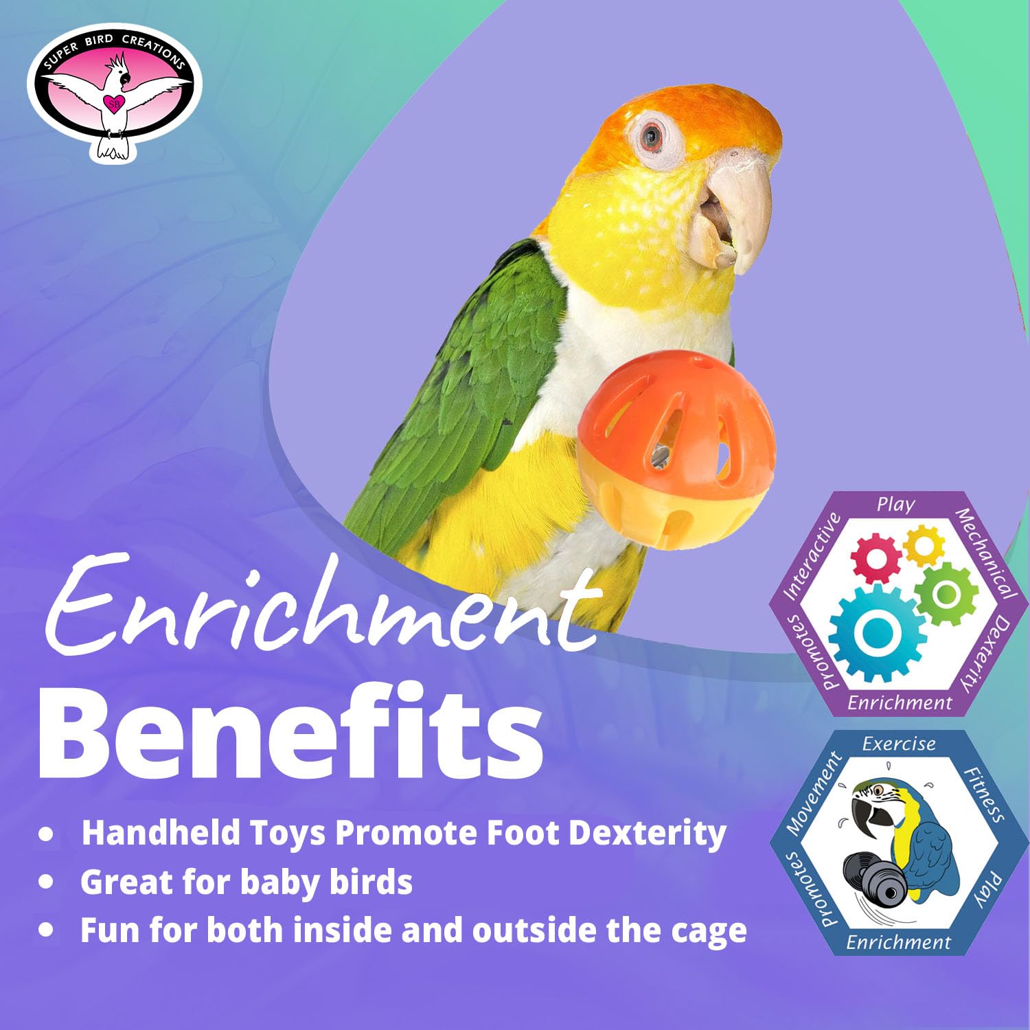 Super Bird Creations Sb1055 Birdie Balls Bird Foot Toy, Medium Bird Size, 2' Diameter (4 Pack)