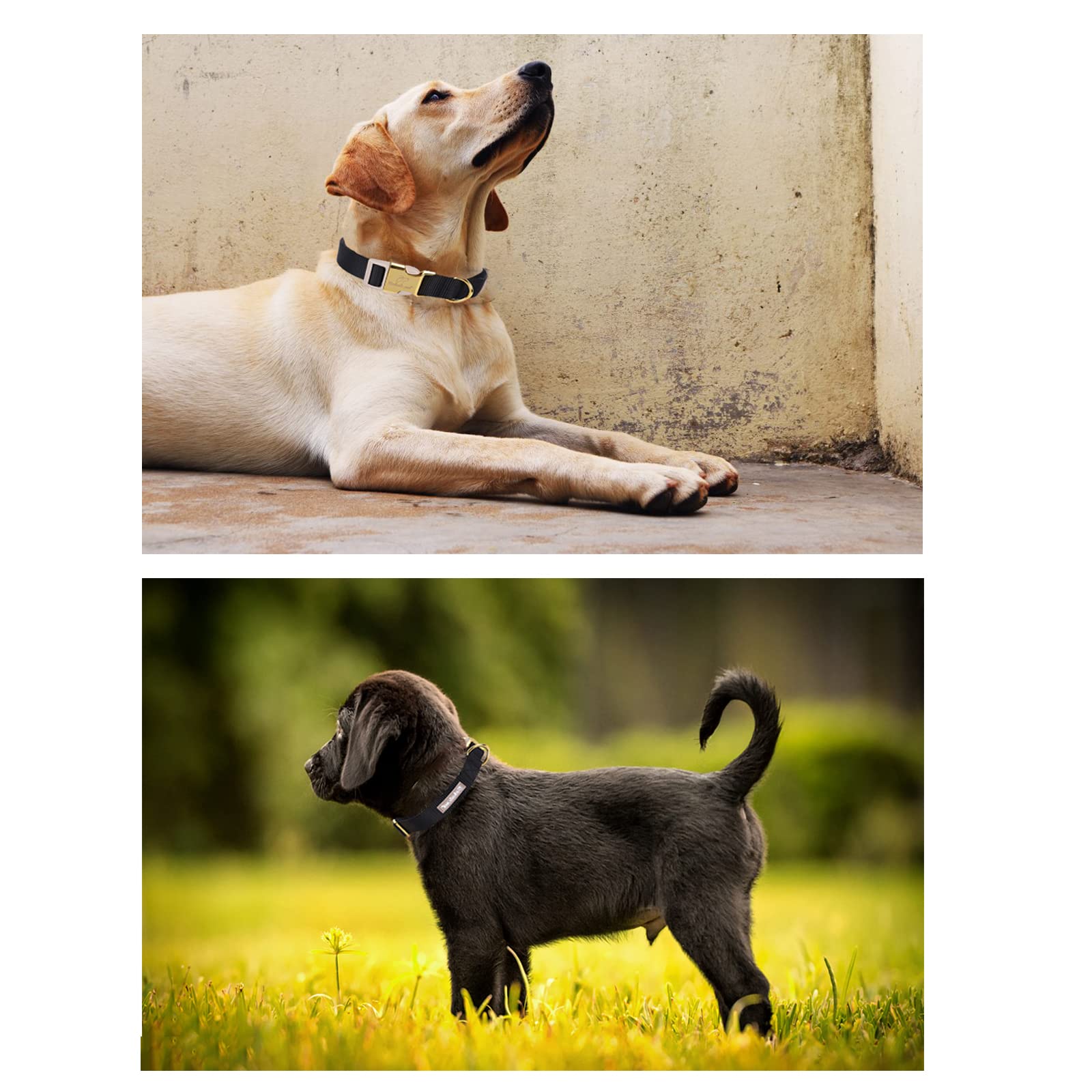 Babole Pet Nylon Dog Collar - Adjustable Black Soft Webbing Dog Collars For Small Medium Large Dogs Boy Girl Puppy Collar With S