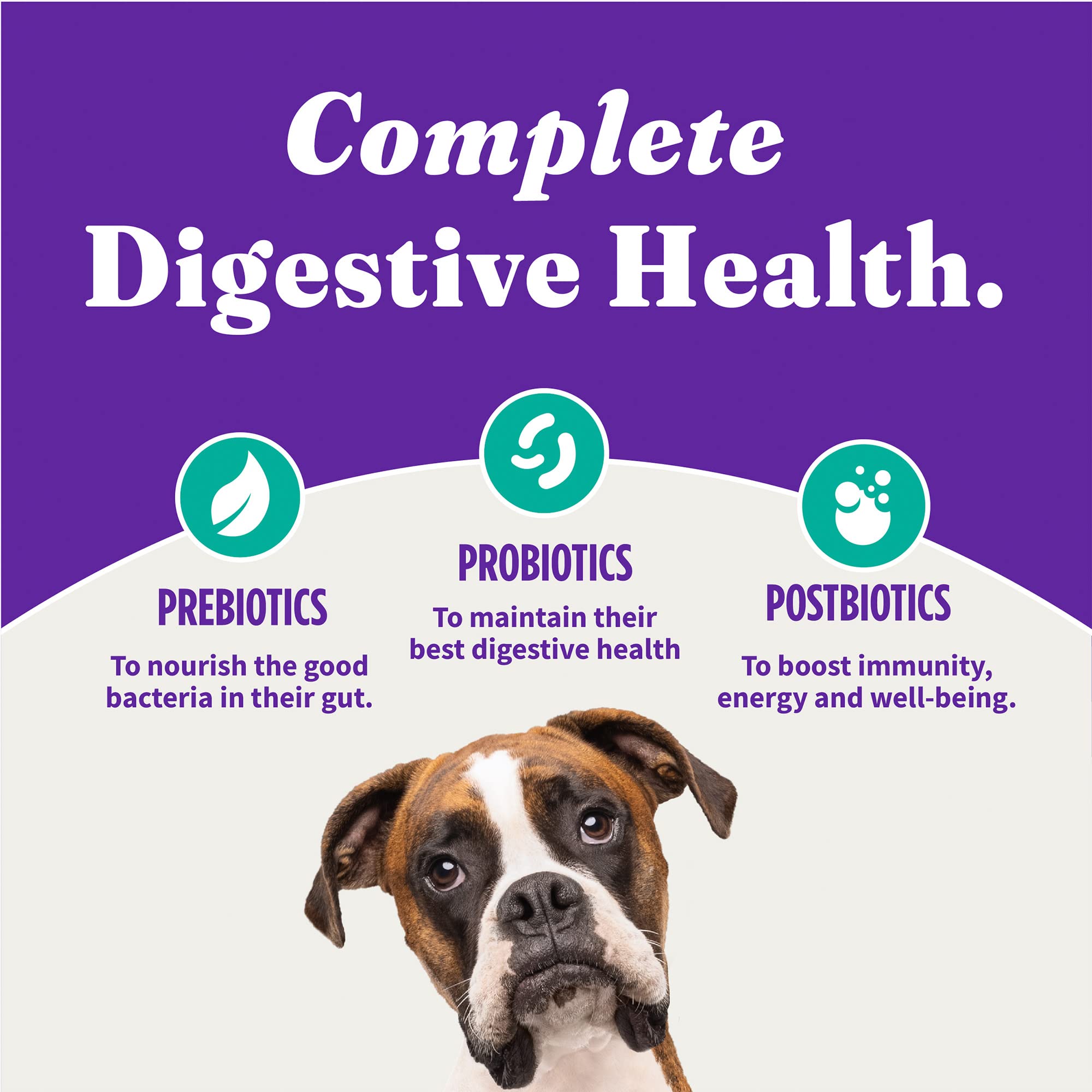Halo Purely For Pets Vegan Dry Dog Food, Plant-Based Recipe with Kelp, 21-lb Bag, Complete Digestive Health, Adult Formula