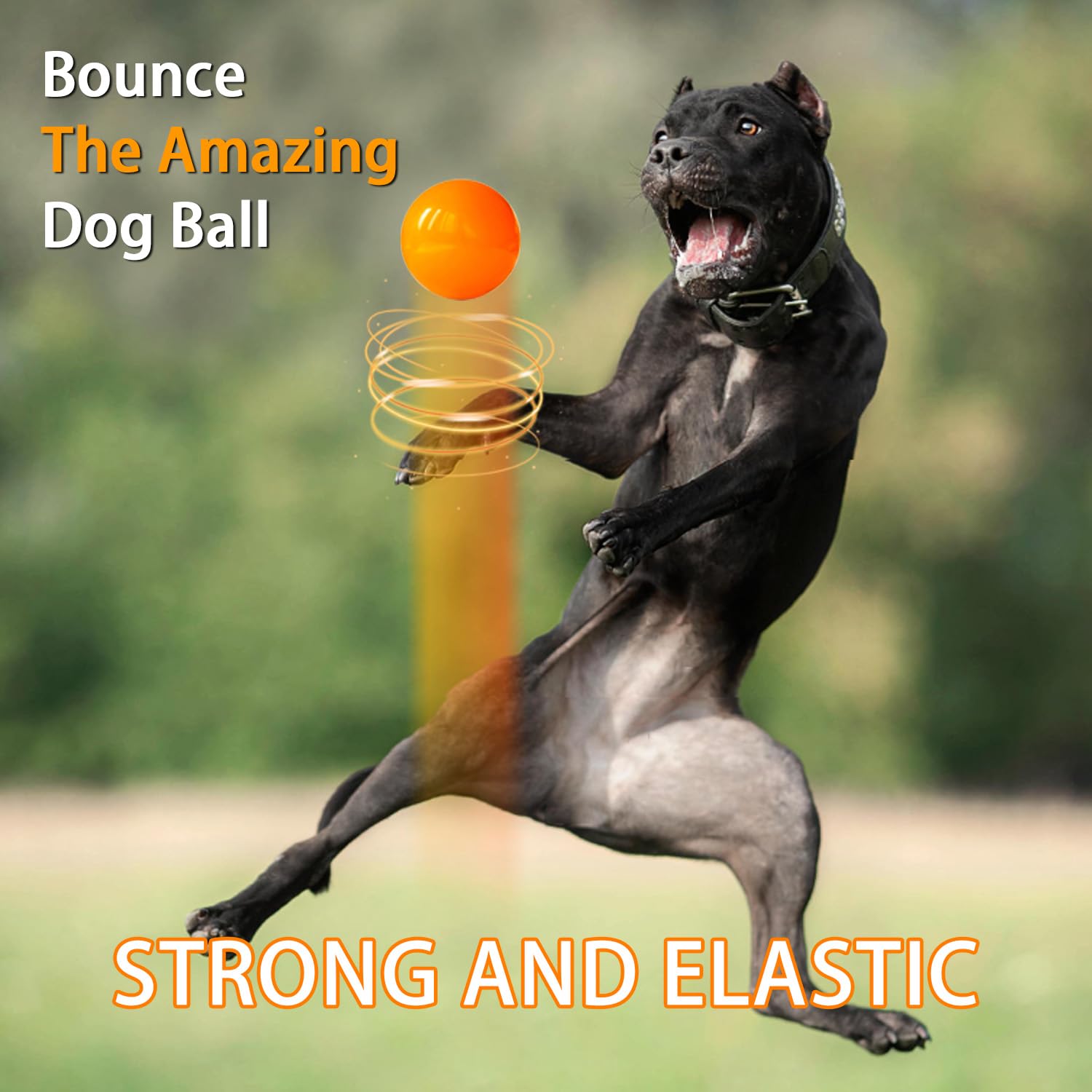Dlder Dog Balls Indestructible,Solid Rubber Dog Ball Toys,Durable Bouncy Balls For Dogs Aggressive Chewers,100% Safe & Non-Toxic,Floating Dog Chew Toy Ball For Medium&Large Dogs To Play And Fetch.