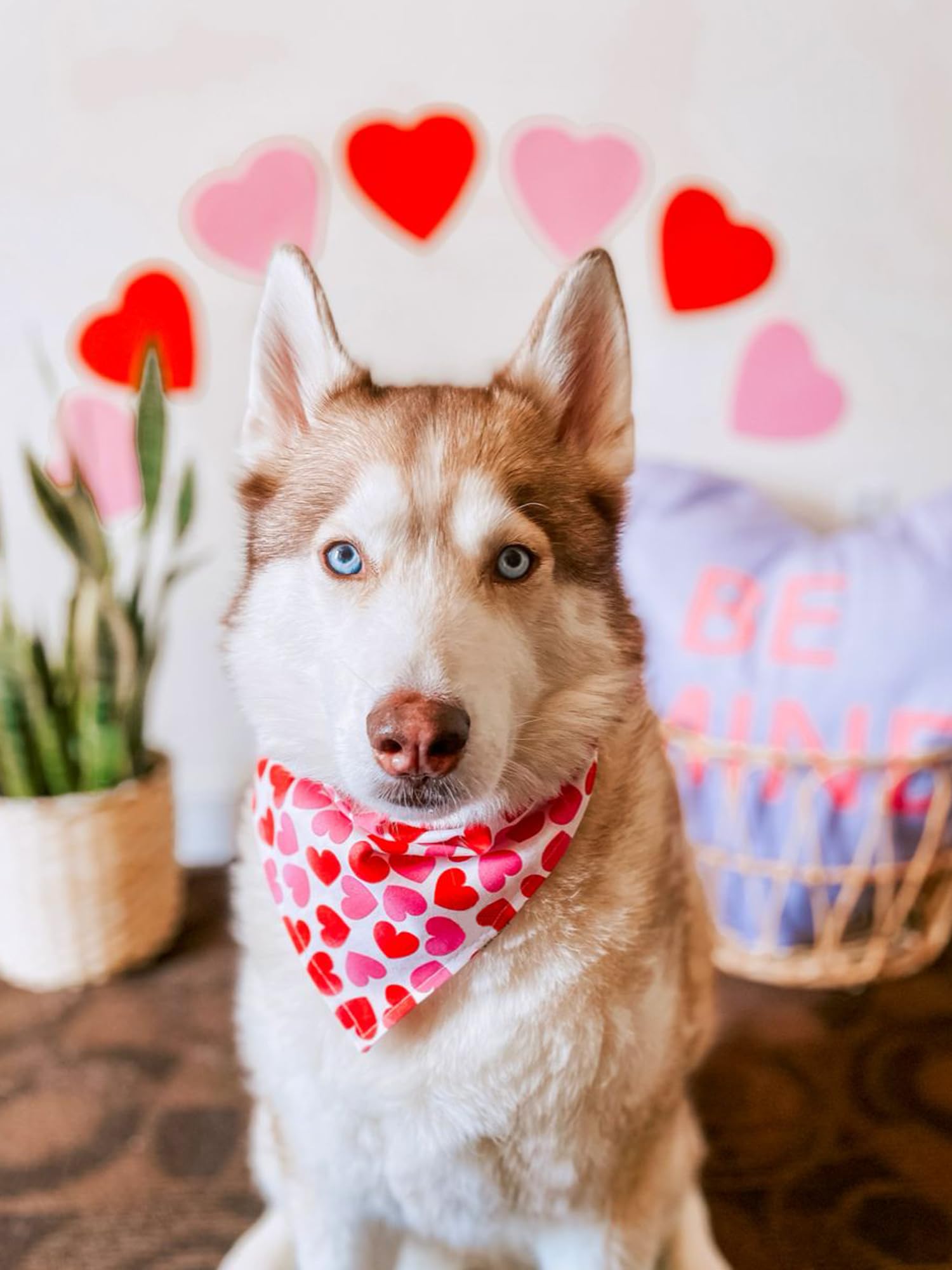 Mother'S Day Dog Bandanas 2 Pack, Gradient Pink Hearts Pet Scarves For Birthday Gifts Bandanas Bulk For Small Dogs (Mother'S Day