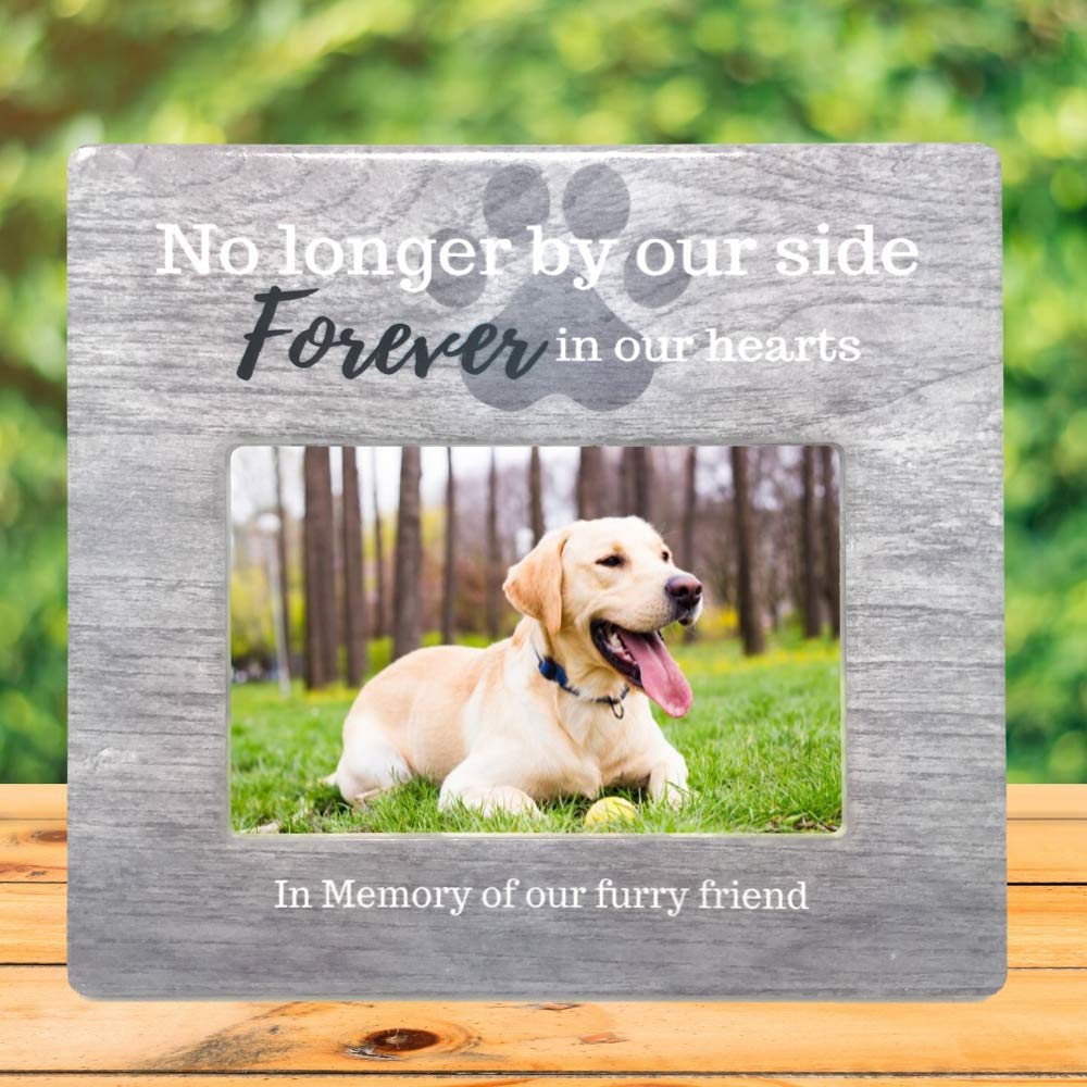 Banberry Designs Pet Memorial Picture Frame - No Longer By Our Side Forever In Our Hearts - In Memory Of Our Furry Friend - Pet