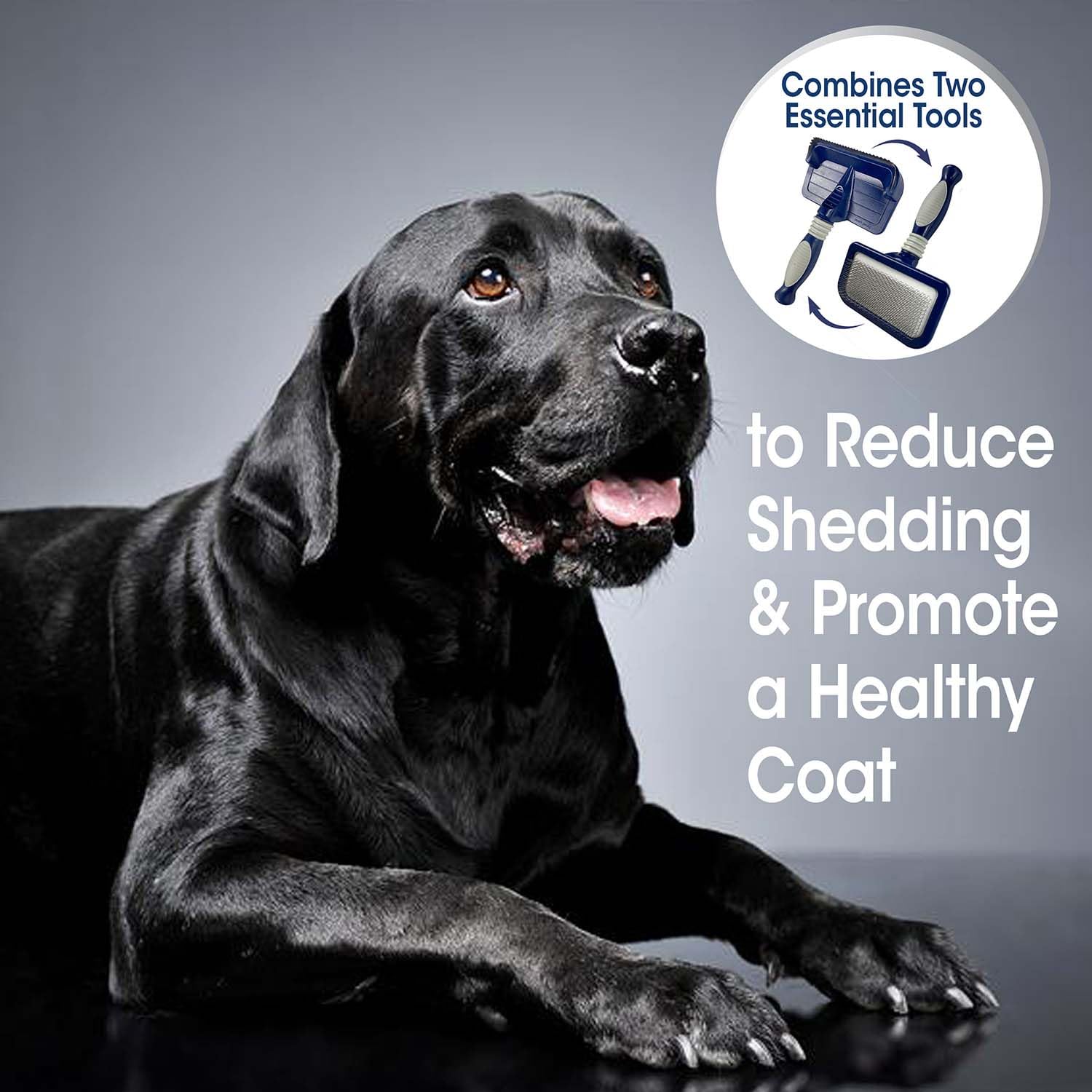 Four Paws Slicker Brush Shedding Blade Medium