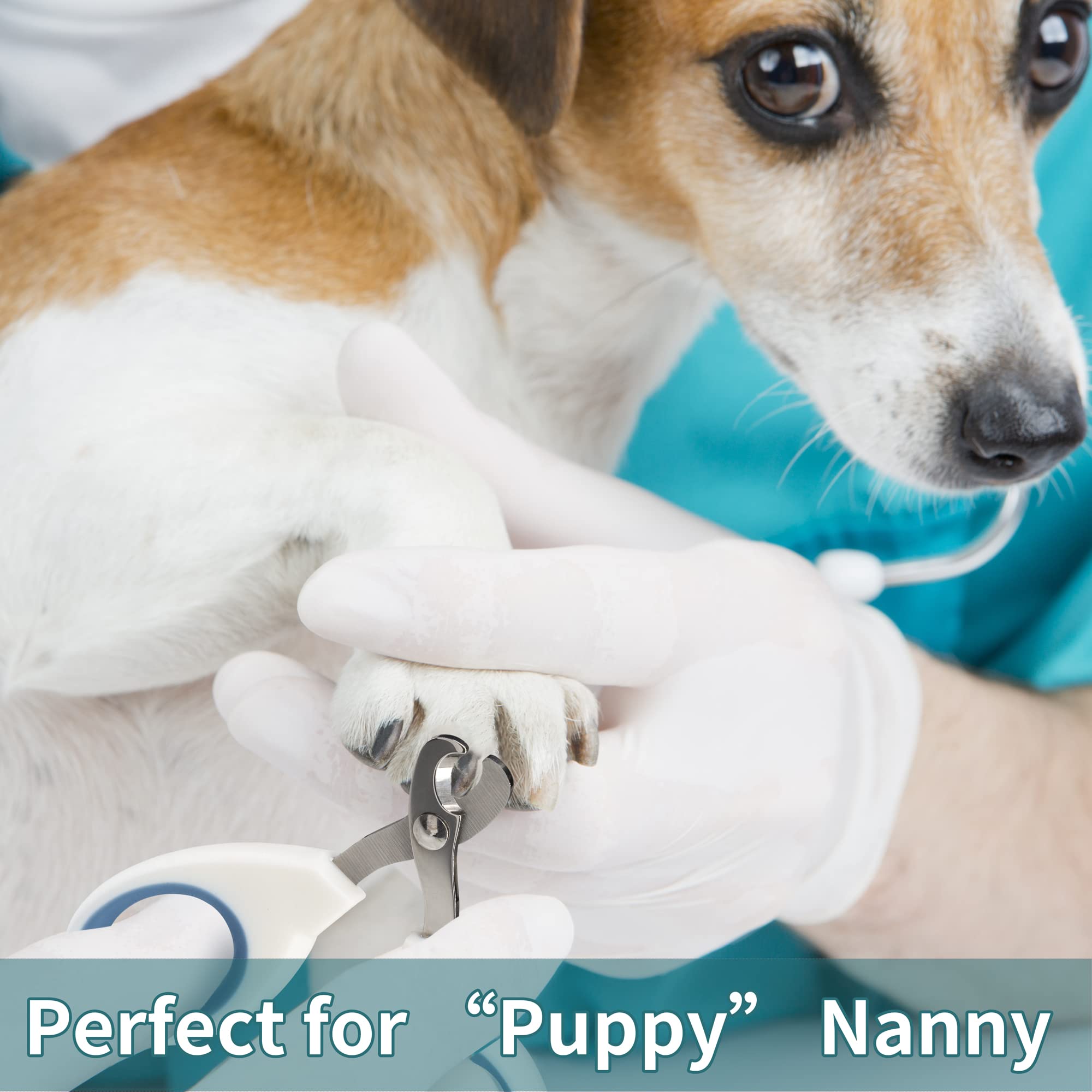 Cat Nail Clipper, Claw Trimmer Made Of Stainless Steel, Clean Cut, No Shred, Mirror Finish. Small Animal Nail Clippers For Cats, Kittens, Bunny, Puppy, Rabbit, Gatos, And More