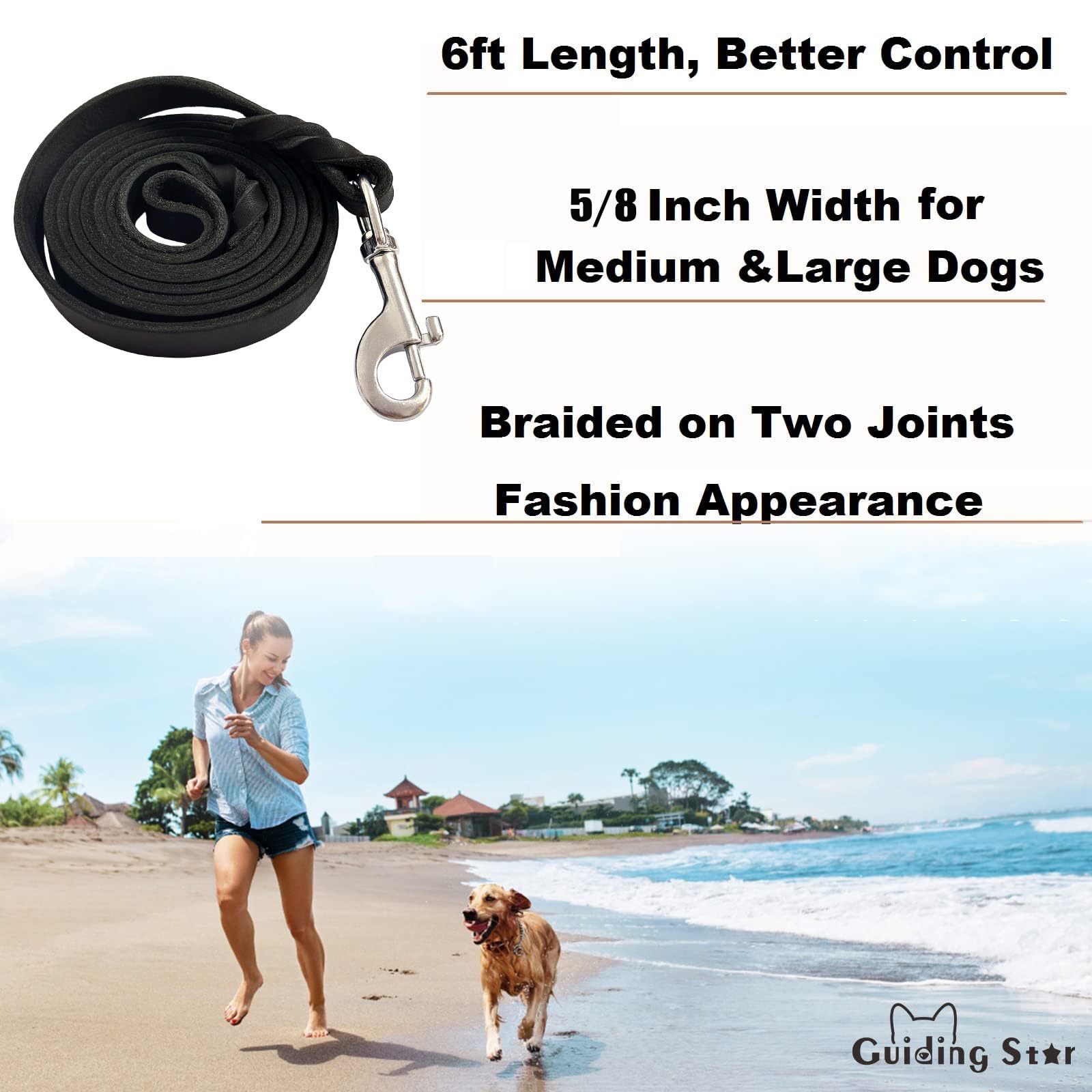 Leather Dog Leash, Heavy Duty, Braided Leather For Large Breed Dogs, 6Ftx5/8Inch, Black