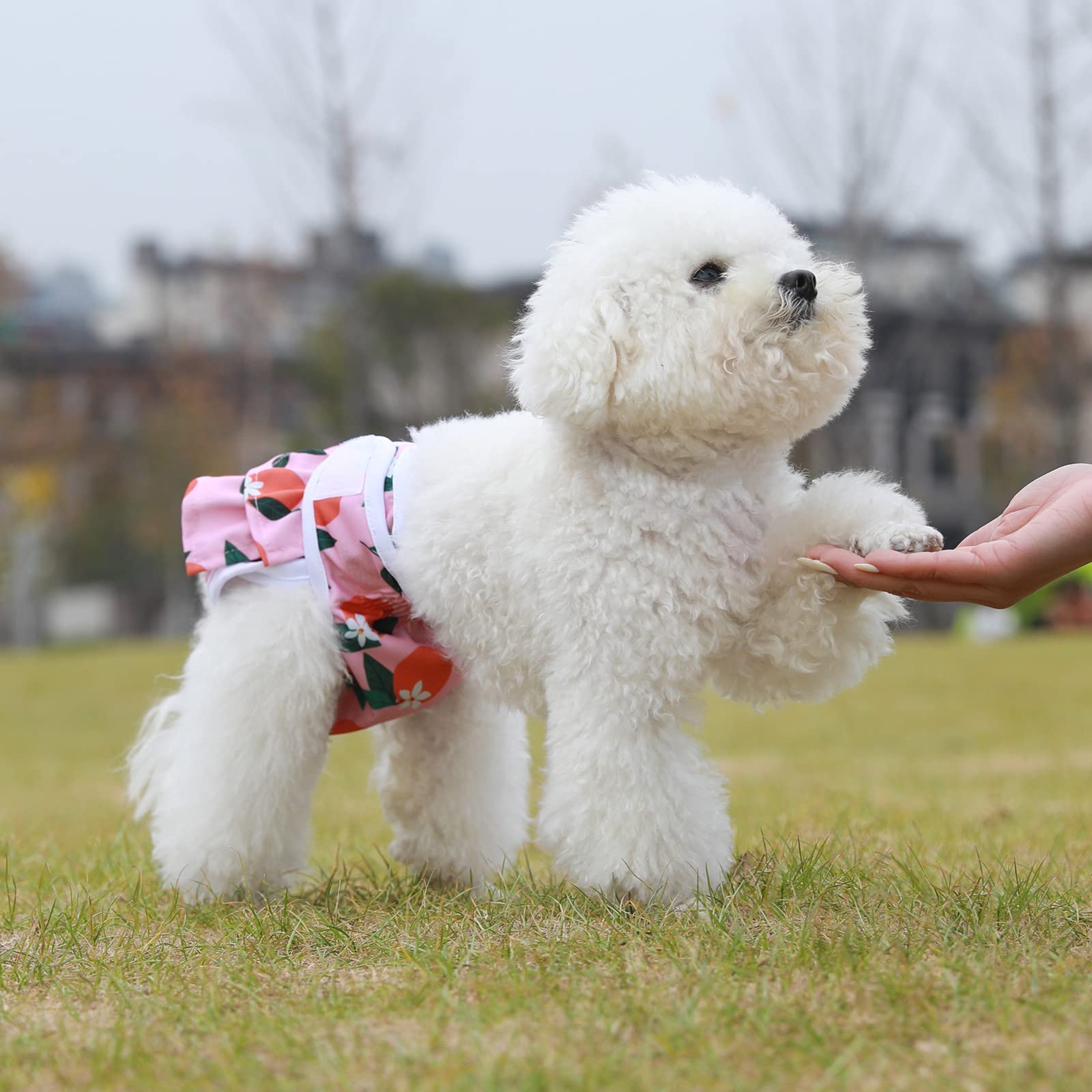 Reusable Dog Diapers Female 3 Pack Reusable Premium Highly Absorbent Doggie Diapers, Flexible Puppy Diapers, Durable Leak-Proof