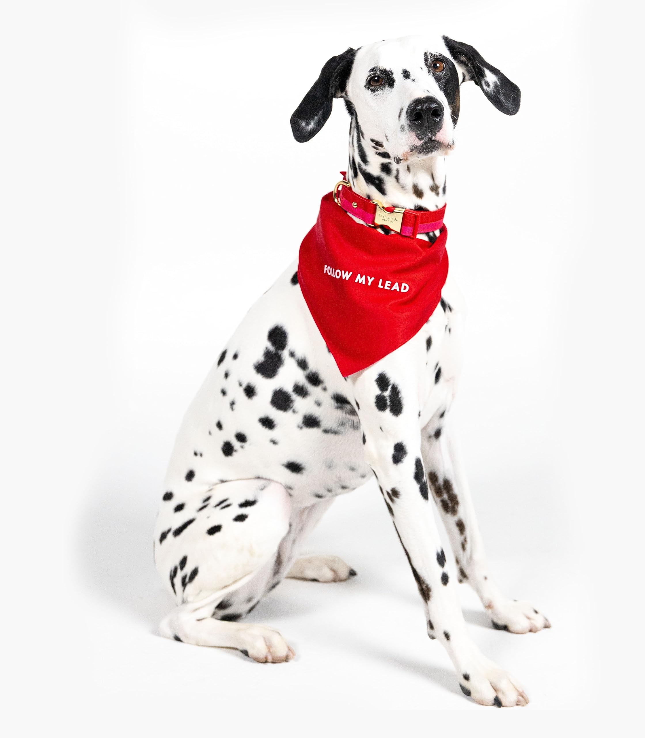 Kate Spade New York Pet Bandana For Boy Or Girl Dogs, Lightweight Bandana For Dog, Cute Dog Scarf For Medium Or Large Pets, Red
