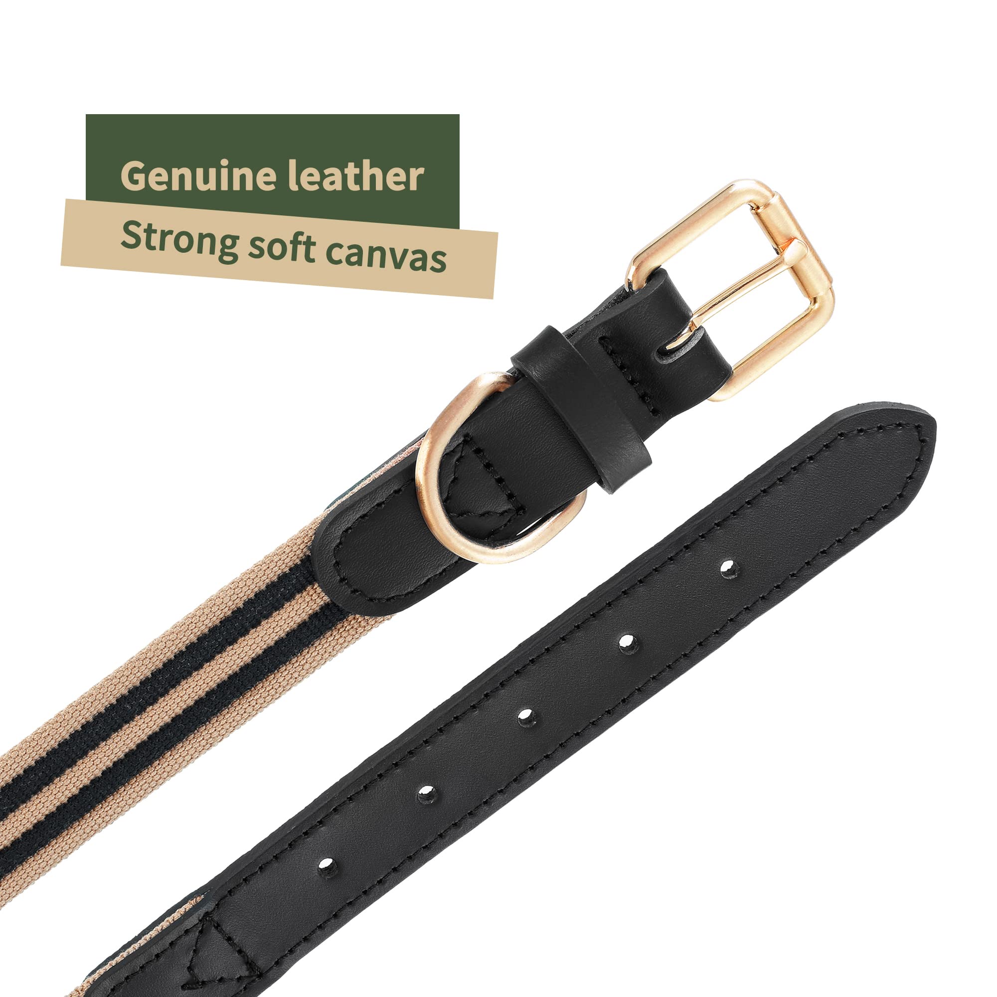 Mile High Life | Genuine Leather Dog Collar | Heavy Duty Canvas Dog Collars With Adjustable Rust-Proof Metal Pin Buckle | Boy Do