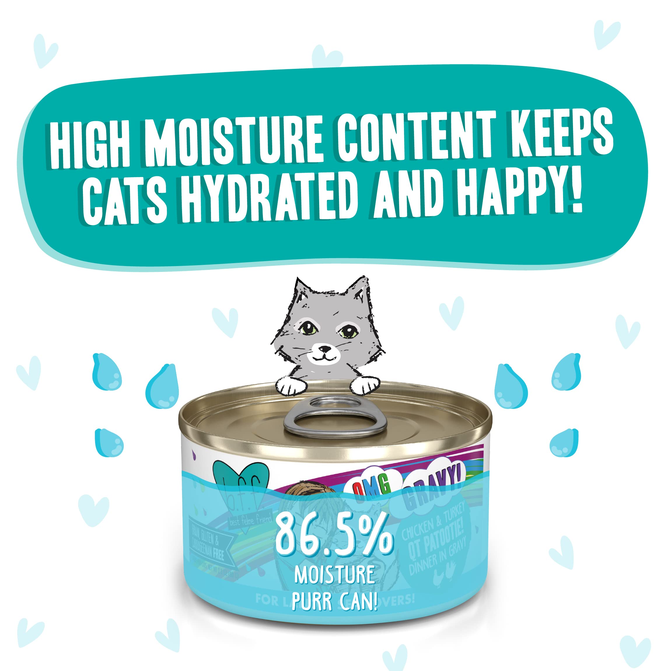 Weruva B.F.F. OMG - Best Feline Friend Oh My Gravy! Grain-Free Wet Cat Food Cans, QT Patootie! Chicken & Turkey, 2.8 oz Can (Pac