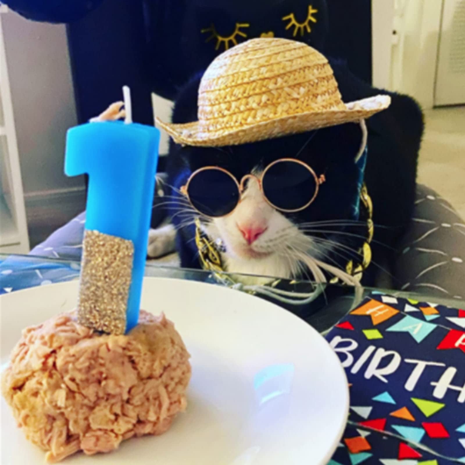 6 Pieces Pet Dog Cat Costume, Pet Sunglasses And Summer Pet Straw Hat With Faux Gold Chain Collar, Classic Funny Pet Accessories For Pet Cat Puppy Small Medium Dog Birthday Cosplay Party (Cute Style)