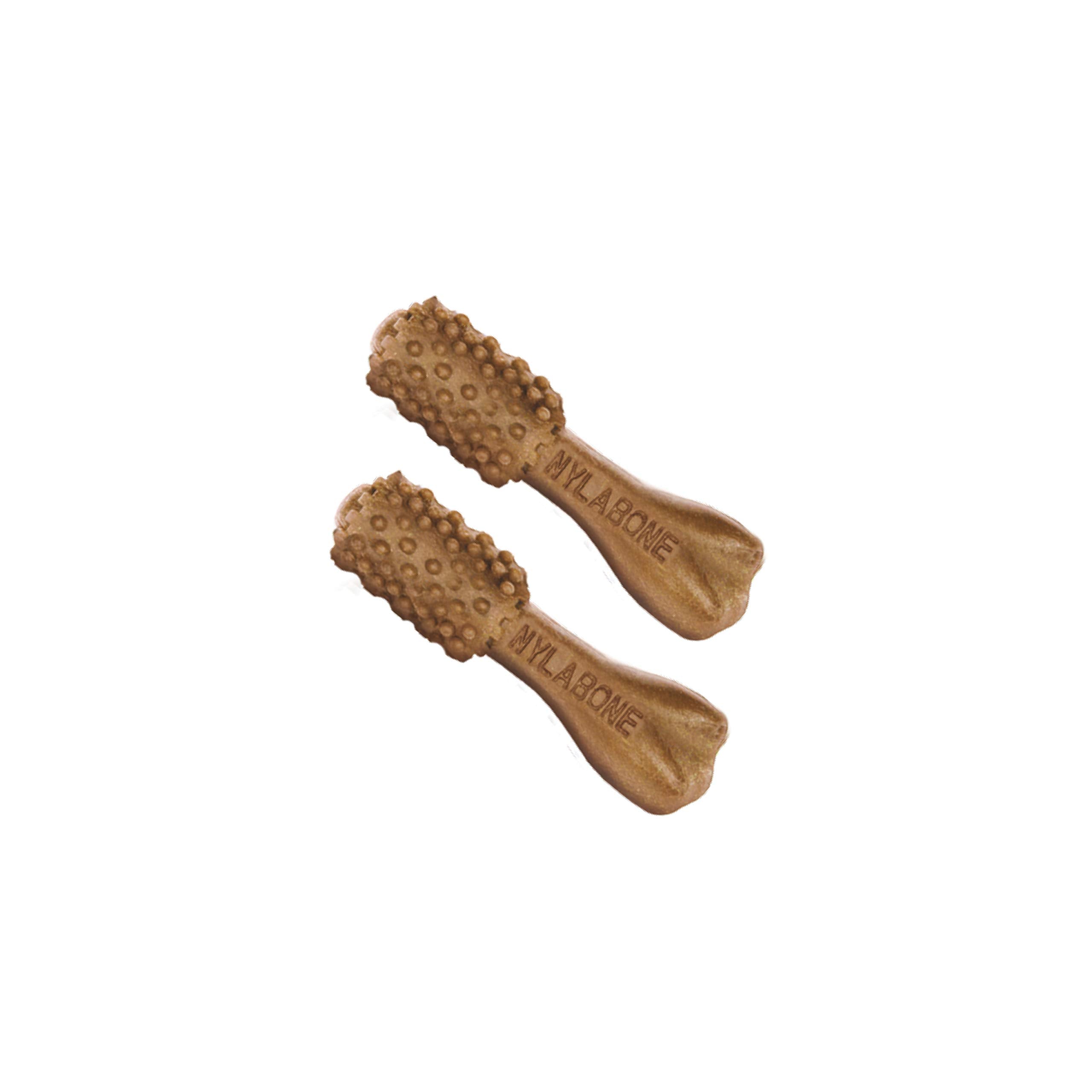 Nylabone Nutri Dent Dog Dental Chews - Natural Dog Teeth Cleaning & Breath Freshener - Dental Treats for Dogs - Filet Mignon Fla