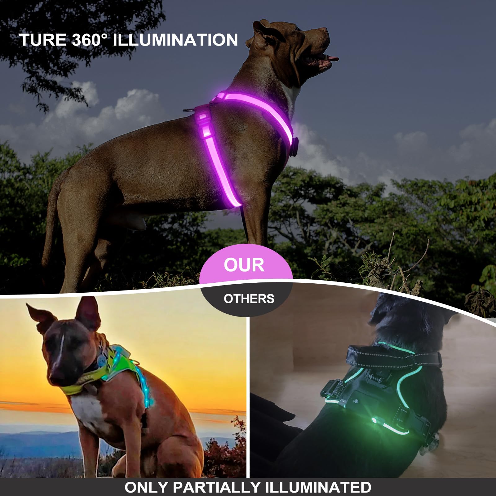 Koskill Light Up Dog Harness,Led Dog Harness Rechargeable,Lighted Dog Harness Glow In The Dark, Led Dog Vest Reflective,Light Up