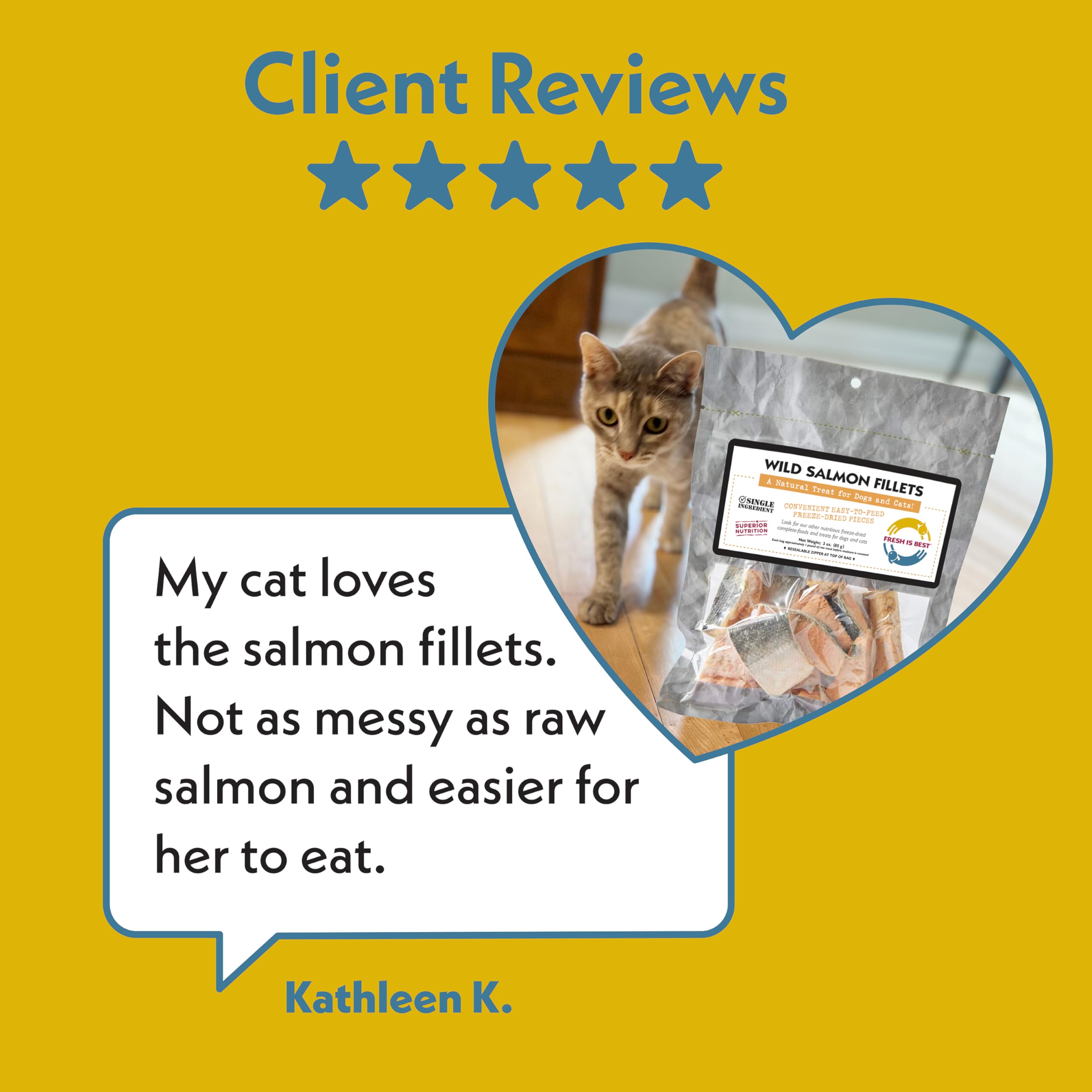 Fresh Is Best - Freeze Dried Healthy Raw Meat Treats for Dogs & Cats - Wild Salmon Fillets