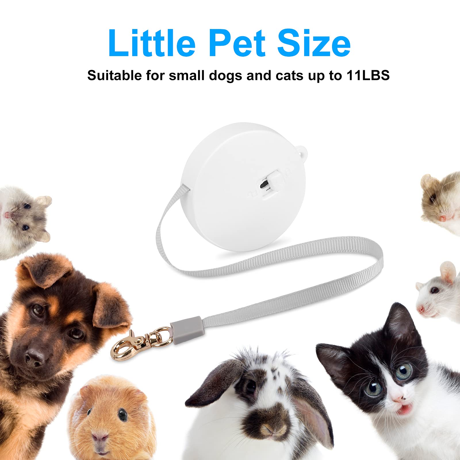 Retractable Dog Leash For Small Dogs Cats Up To 11Lbs With 6.5Ft Anti-Pull Strong Nylon Tape, Hands Free, Mini And Portable Walking Leash With Wrist Strap, One-Hand Brake, White Round
