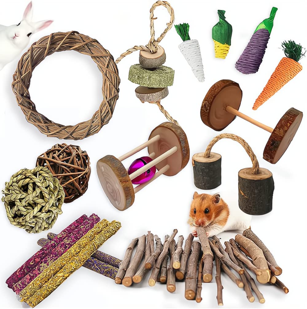 13Pcs Guinea Pigs Toys, Rabbit Toys Set Wooden Hamster Toys For Teeth Care, Best Choose For Rabbit Guinea Pig Rat Bunny Chinchillas Gerbils Chew