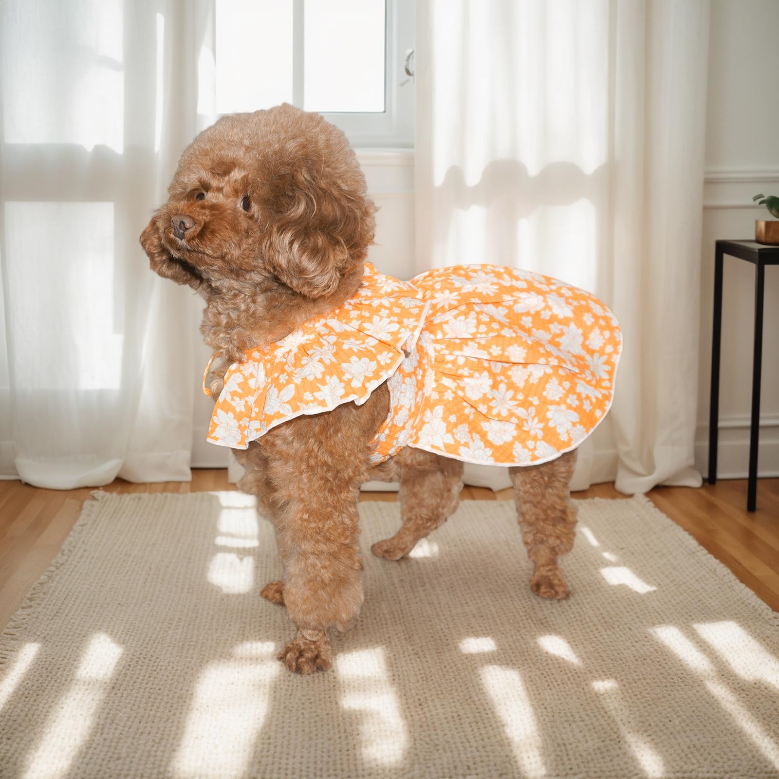 Topkins Dog Dress, Cute Dog Princess Dresses With Lace-Up, Pretty Prints Pet Dress Clothes For Small Dogs (Orange, Xl)