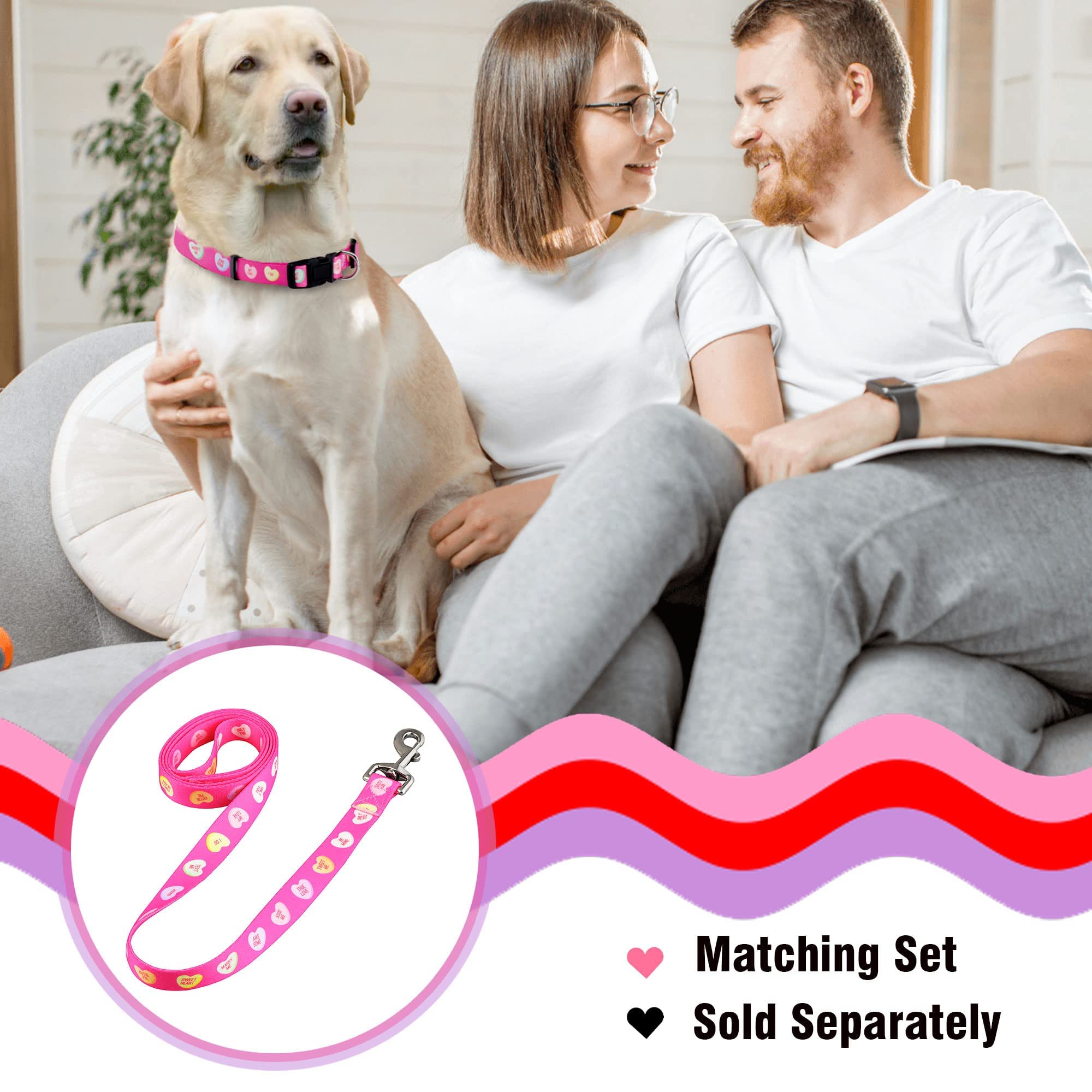 Native Pup Valentines Dog Collar- Valentines Day Pet Collars- Valentine Girly Hearts- Pink Red Heart- Cute Boy Girl Puppy Gift-