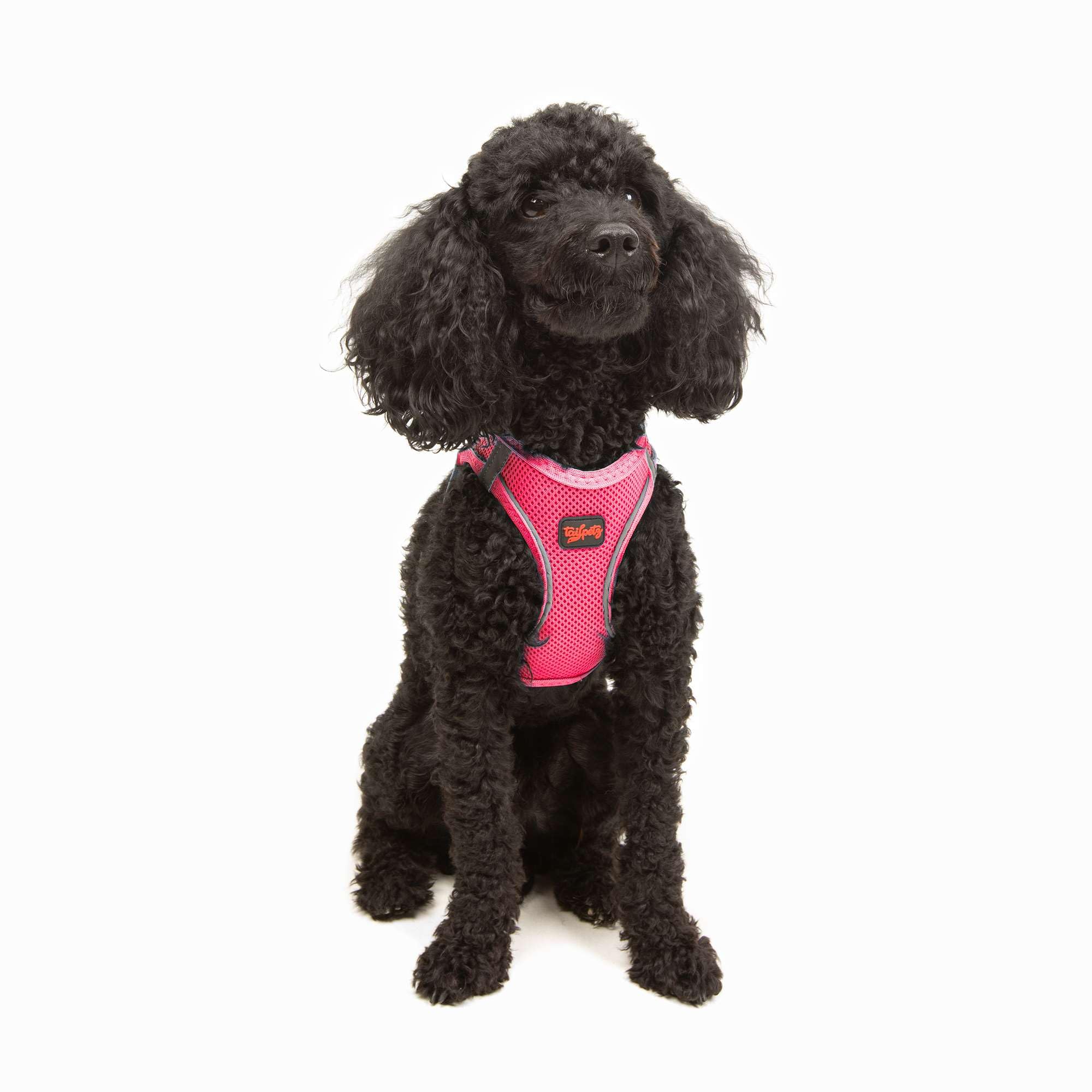 Tailpetz Xs Dog Harness Pink, Adjustable Step in No Pull Dog Harness Small Sized Dog, Reflective Puppy Harness for Puppy Trainin