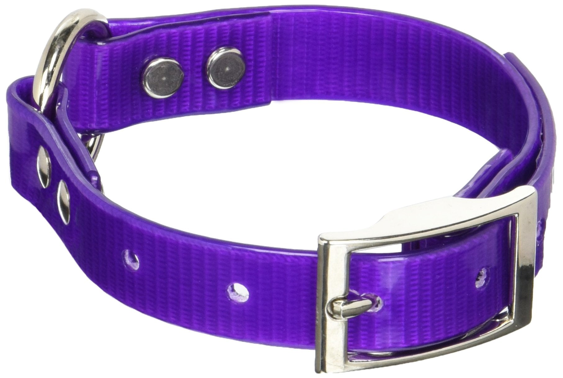Omnipet Sunglo Ring-In-Center Dog Collar, 3/4' Wide, Purple, Fits 9'- 12.5' Neck Sizes, Vibrant Colors & Tough Construction F