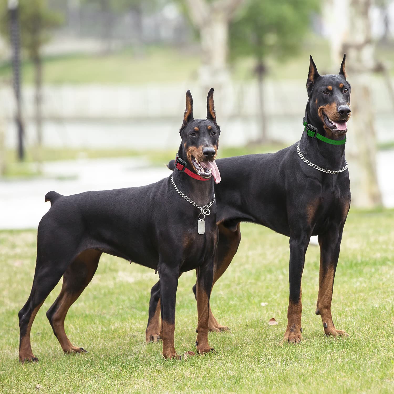 Educator Additional Receiver And Collar Compatible With All Educator Training Systems, Black