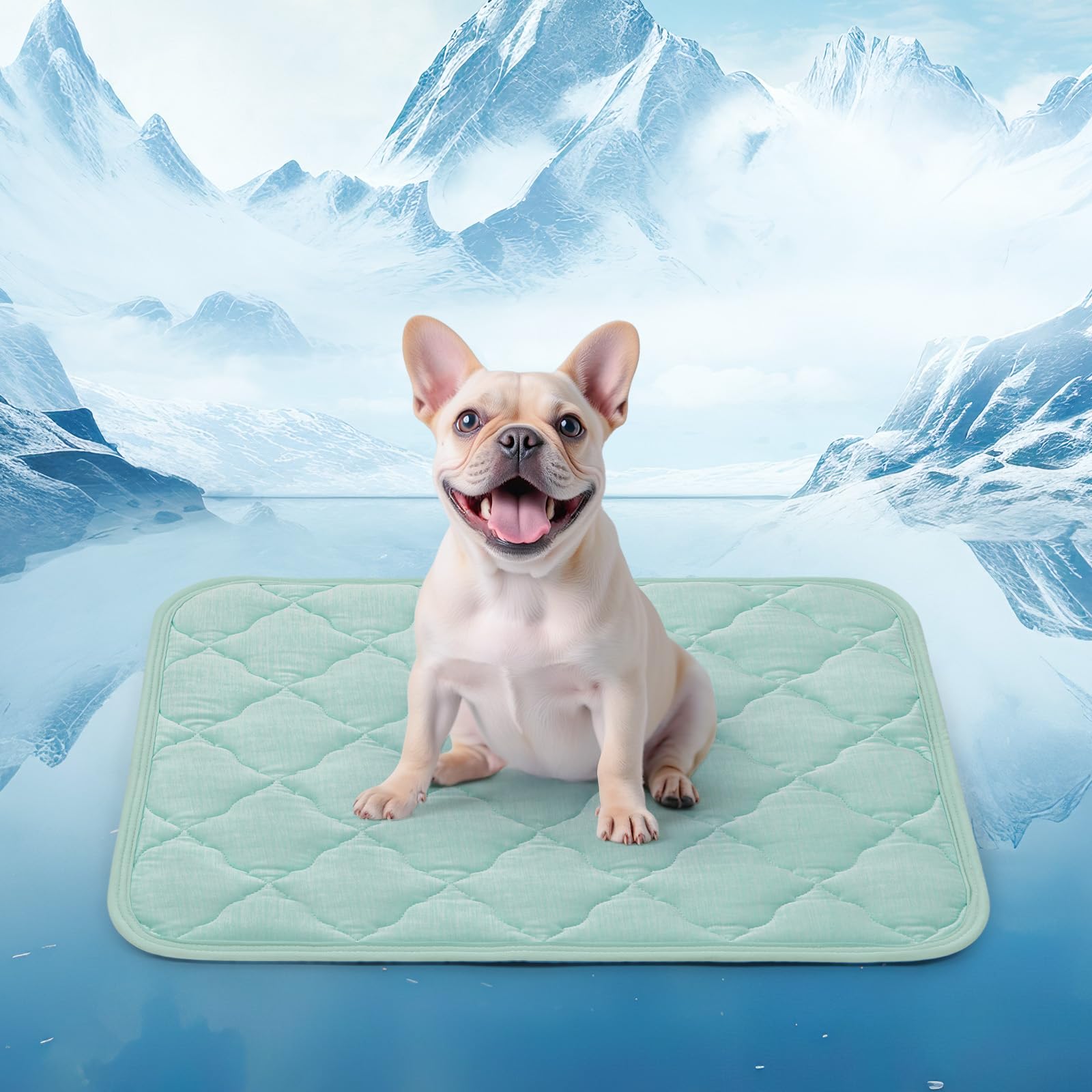 Loobani Dog Cooling Mat For Summer, Cooling Mat For Large Dogs With Anti-Slip Bottom, Washable Dog Cool Pads For Dogs, Cats, Ind