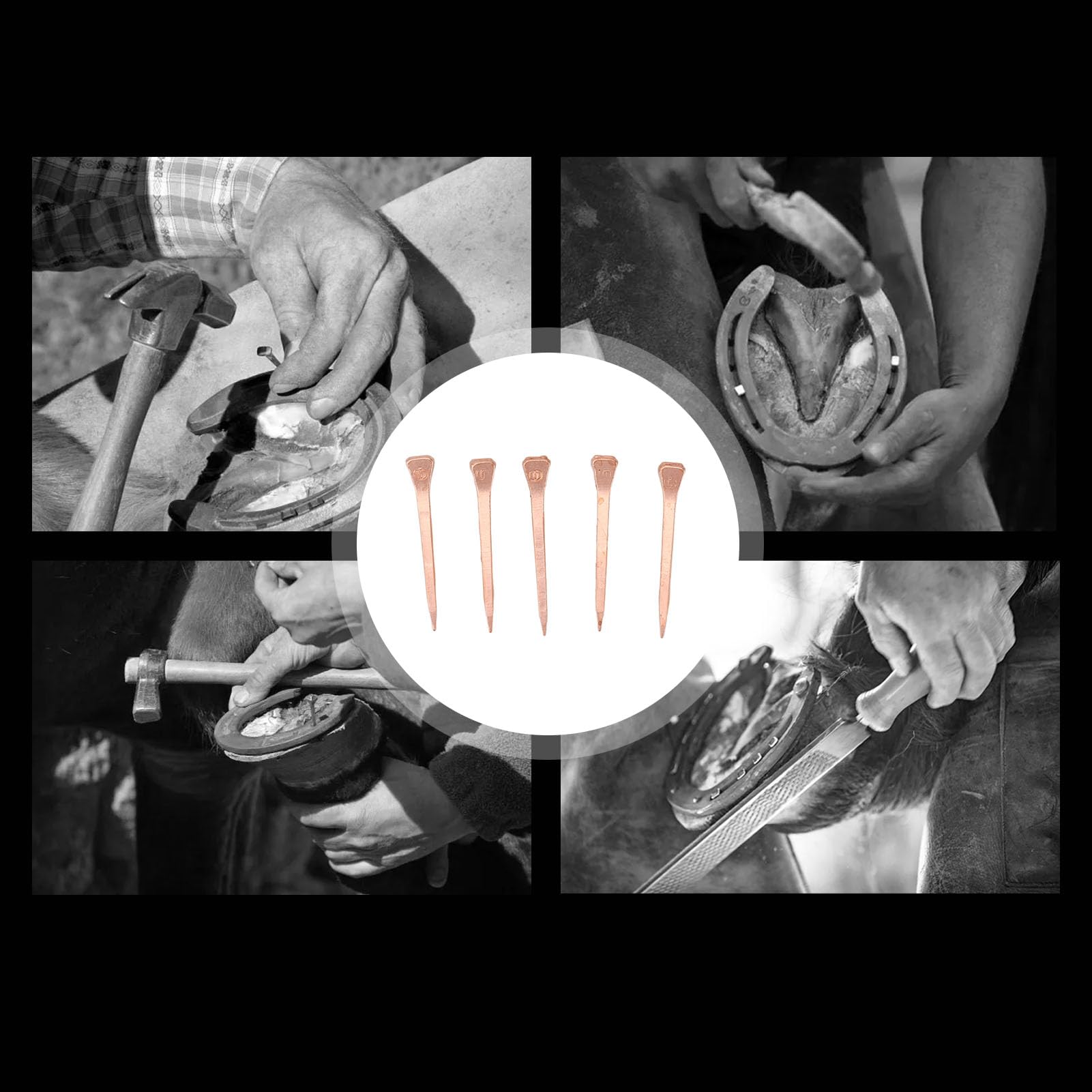 Jauarta 250Pcs Horseshoe Nails Copper Plated Rustproof Equestrian Riding Equipment Pet Supplies (45Mm E3)