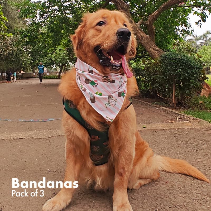 Hexafun 100% Organic Soft Cotton Dog Bandanas| Multicolor & Trendy Printed Bandanas Designs | Soft & Breathable Fabric | Best Fo