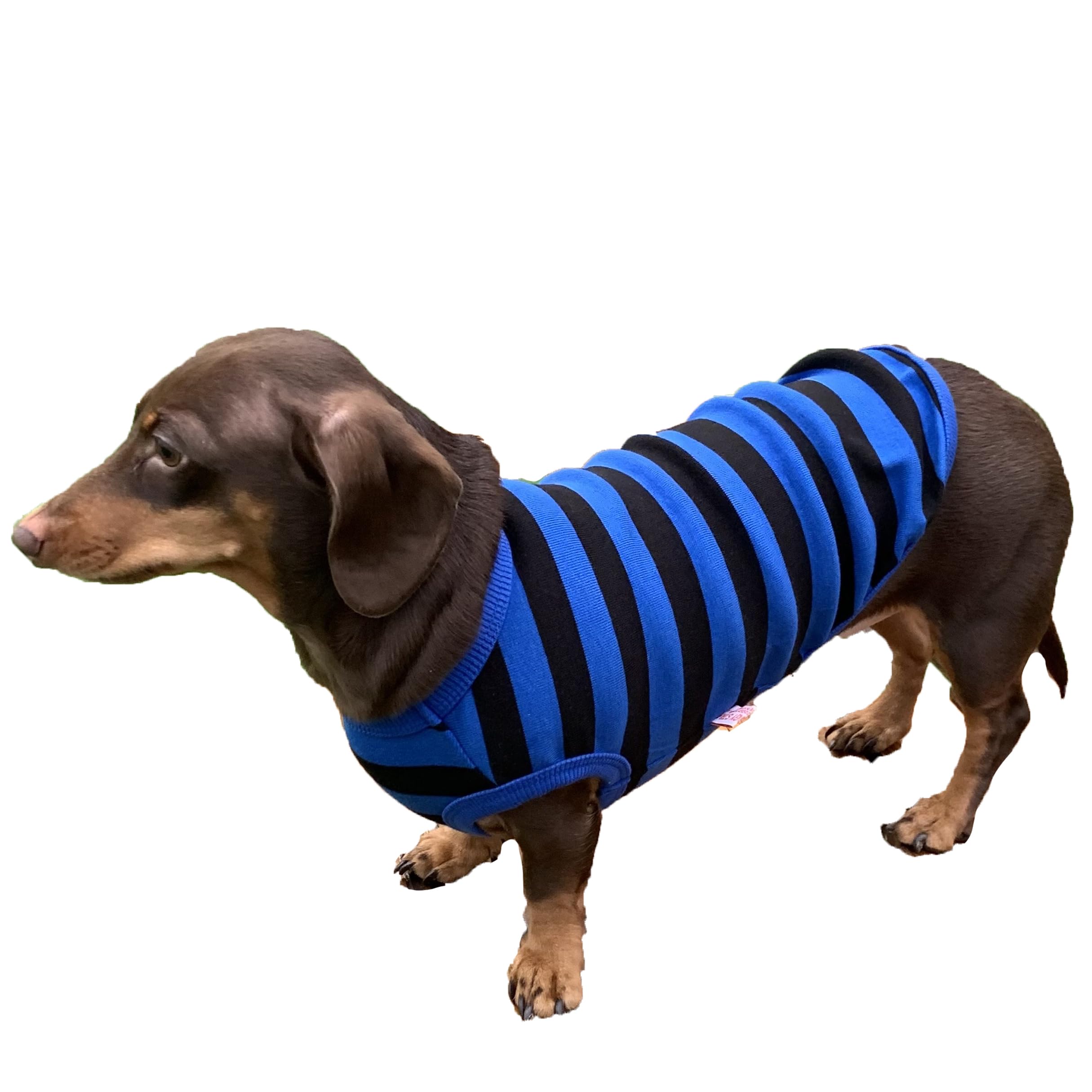 D Doggy Star Dachshund Clothes For Dogs Mini And Adults T Shirts (M,Stripe Blue/Black)
