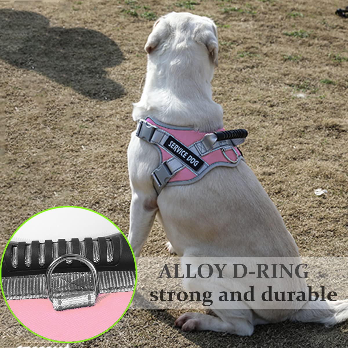 Dogmify Service Dog Vest,No Pull In Training Service Dog Harness And 5Ft Dog Leash Set, Adjustable 3M Reflective Nylon Pet Dog Vest With Handle,Easy Control For Small Medium Large Dogs(Xl,Pink)
