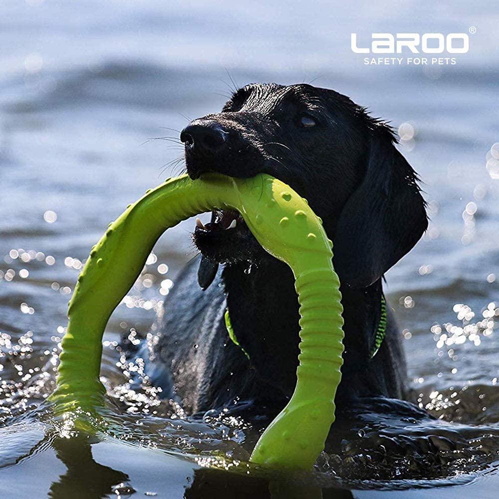 LaRoo Dog Toys for Aggressive Chewers,Floatable Dog Flying Disc,Sizes Dog Tug Toy,Interactive and Tug of War Dog Toy,Funny Teeth