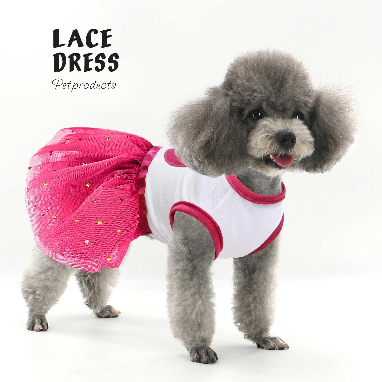 Idepet Spring Summer Pet Dog Cat Puppy Tutu Princess Dress Heart Printed Lace Dog Skirt Pet Apparel Dog Dress (Rose Red, Xs)