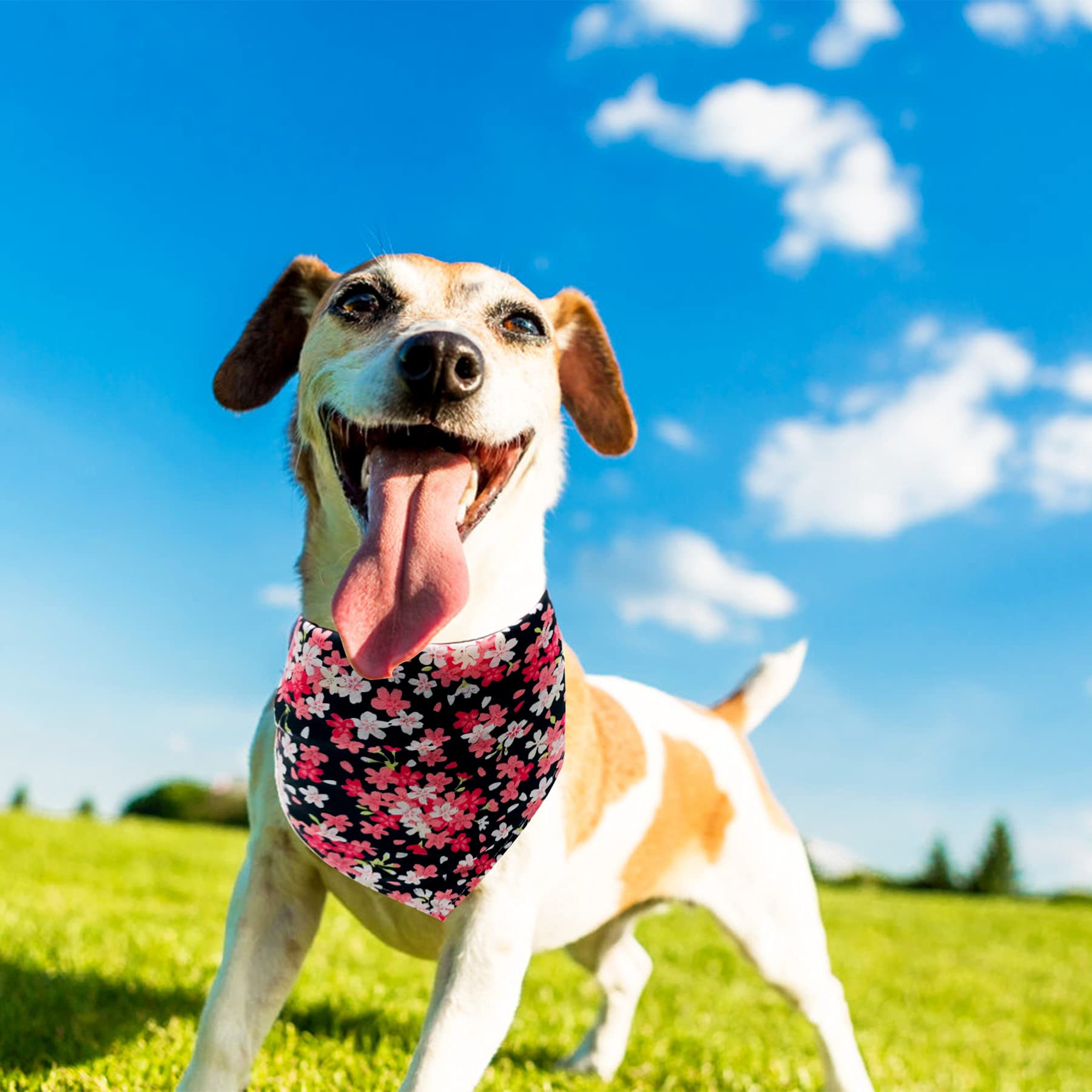 Jpgdn 100Pcs Small Dogs Bandanas Cotton Bulk Pet Summer Bandanas Kerchief Triangle Bibs Scarves Scarfs Random Patterns For Boys