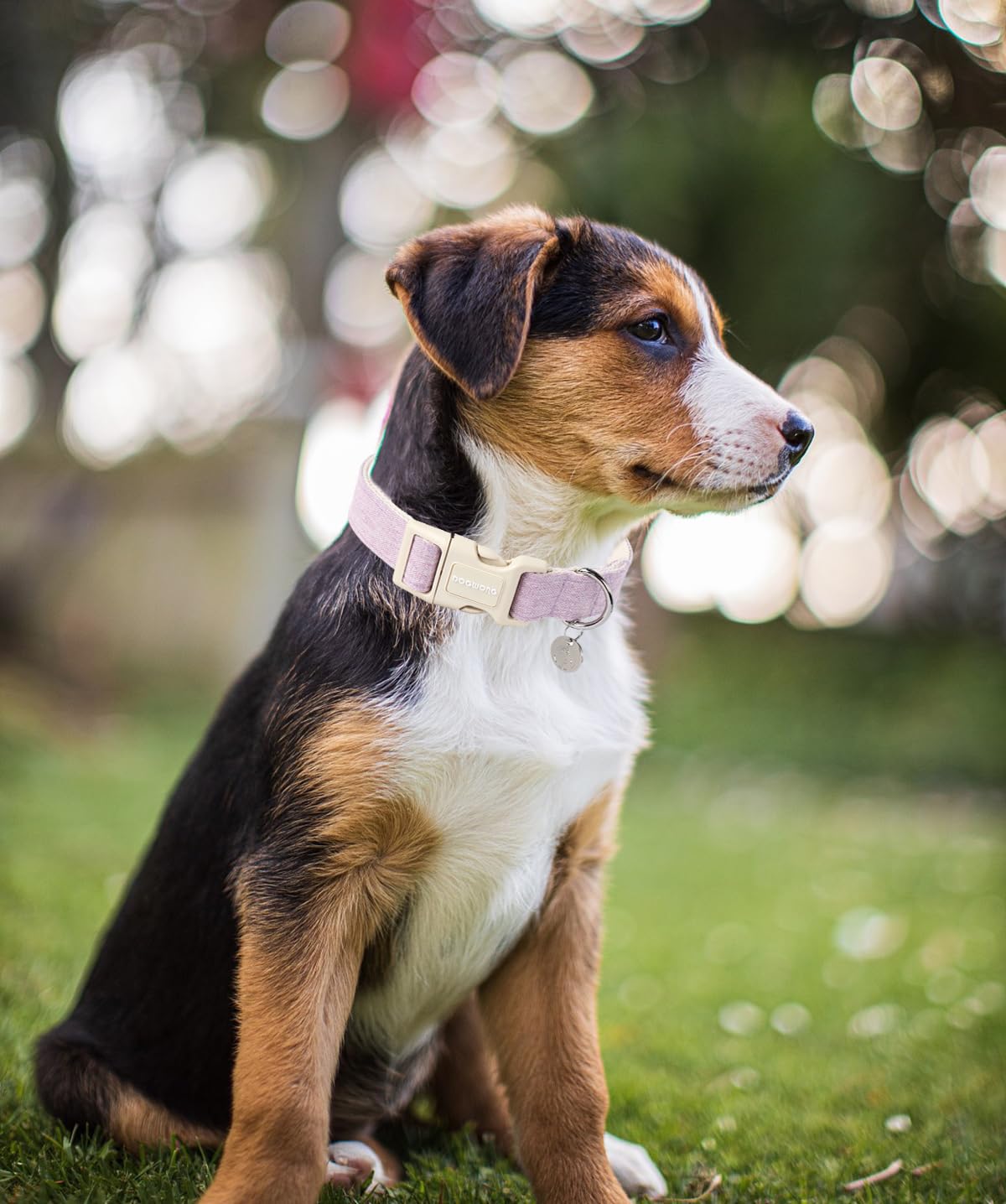 Dogwong Cotton Hemp Dog Collar, Heavy-Duty Purple Adjustable Soft Natural Fabric Pet Collar For Small Medium Large Dog