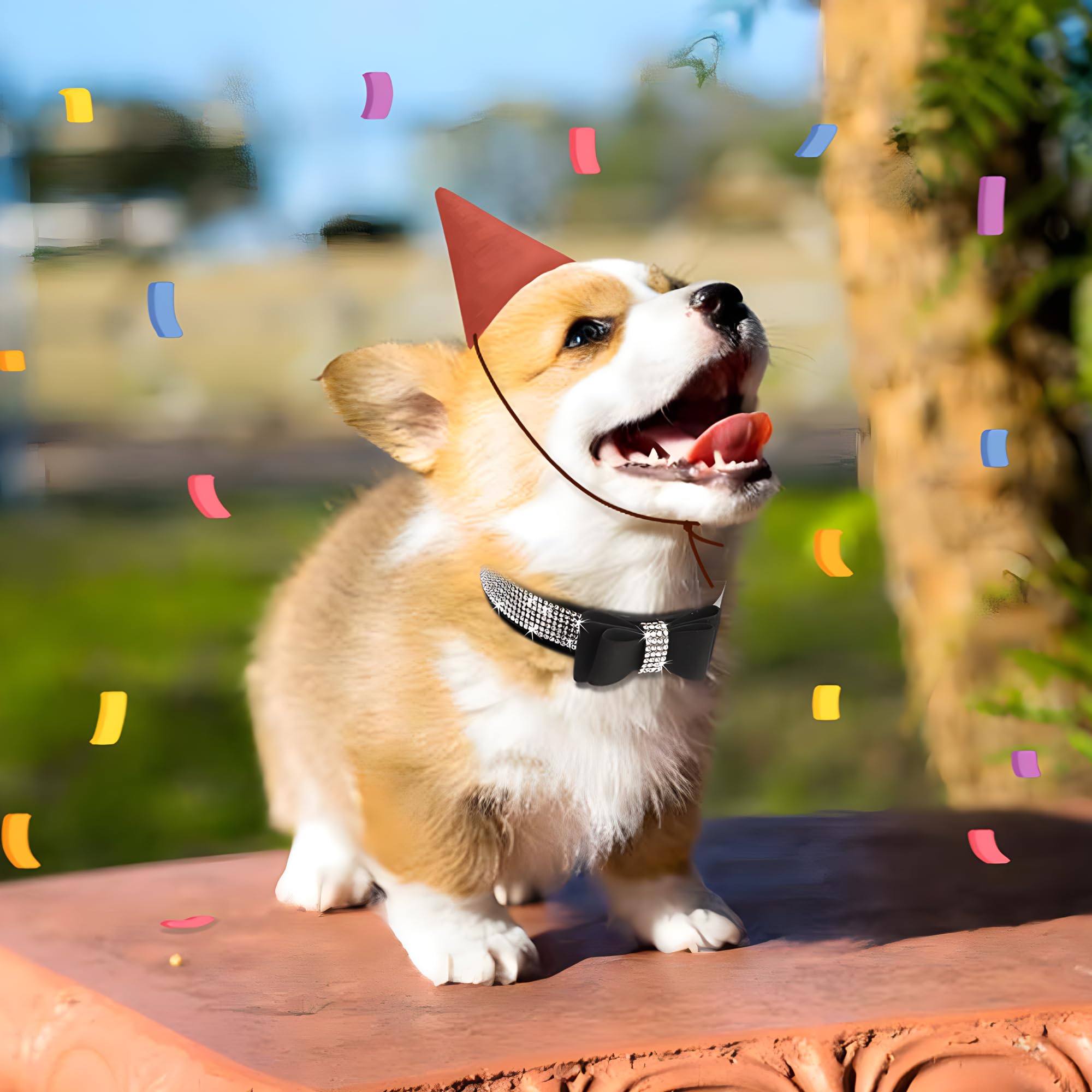 Black Girl Dog Collars For Medium Dogs With Bow, Rhinestone Puppy Collar Bling Diamond Cat Collars Sparkly Jewelry Cute Adjustab