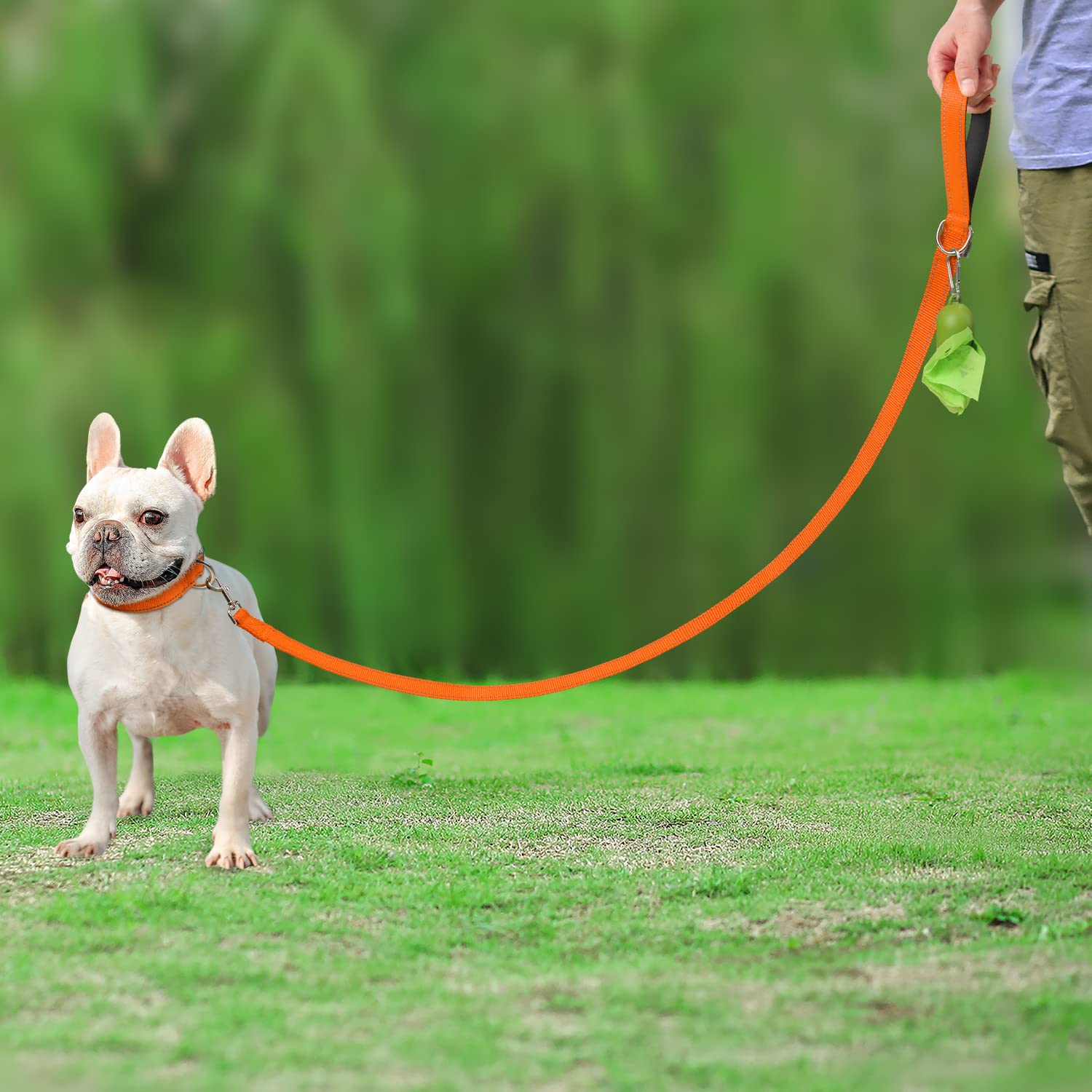 Joytale Double-Sided Reflective Dog Leash, 6 Ft/5 Ft/4 Ft, Padded Handle Nylon Dogs Leashes For Small & Medium Dogs Walking, Orange, 5Ft