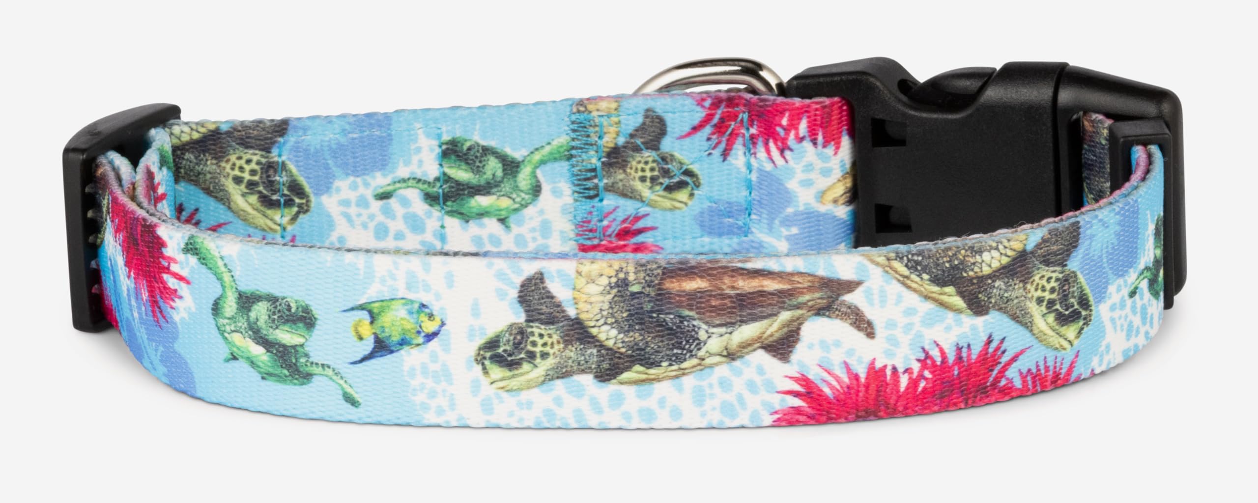 Shaka'S Salty Paws Boy & Girl Dog Collar Small Medium Large (Small Dog Collar Adj. 10-16' For Dogs Up To 25 Lbs, Turtles Dog Co