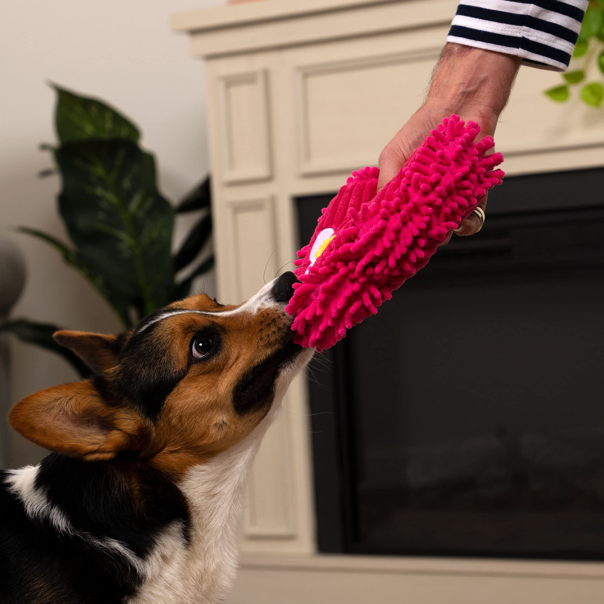 Godog Playclean Germs Squeaky Plush Dog Toy With Odor-Eliminating Essential Oils, Chew Guard Technology - Pink, Large