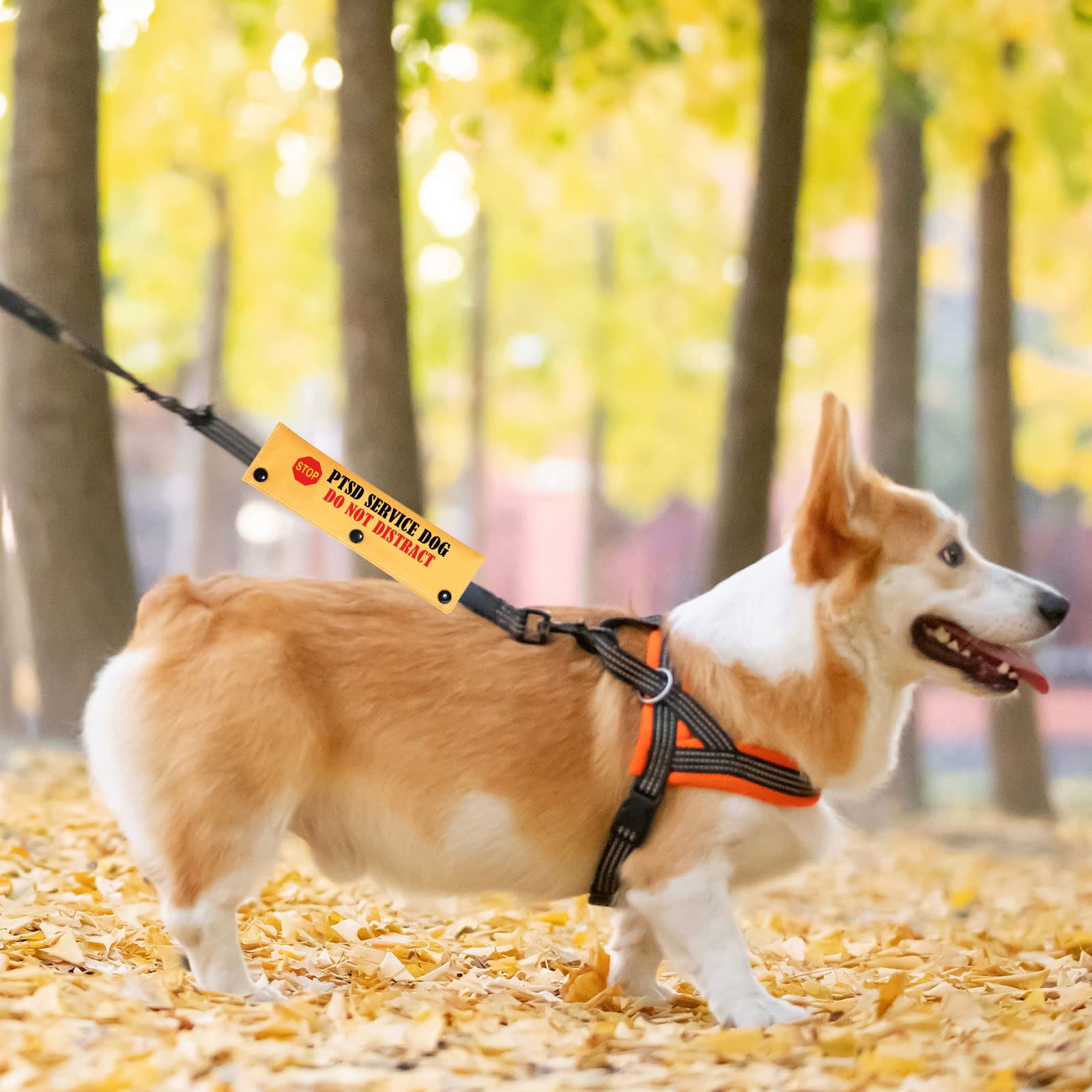 Pwhaoo Ptsd Service Dog Do Not Distract Alert Dog Leash Wrap Ptsd Service Dog Leash Sleeve Ptsd Assistance Dog Alert Gift (Ptsd