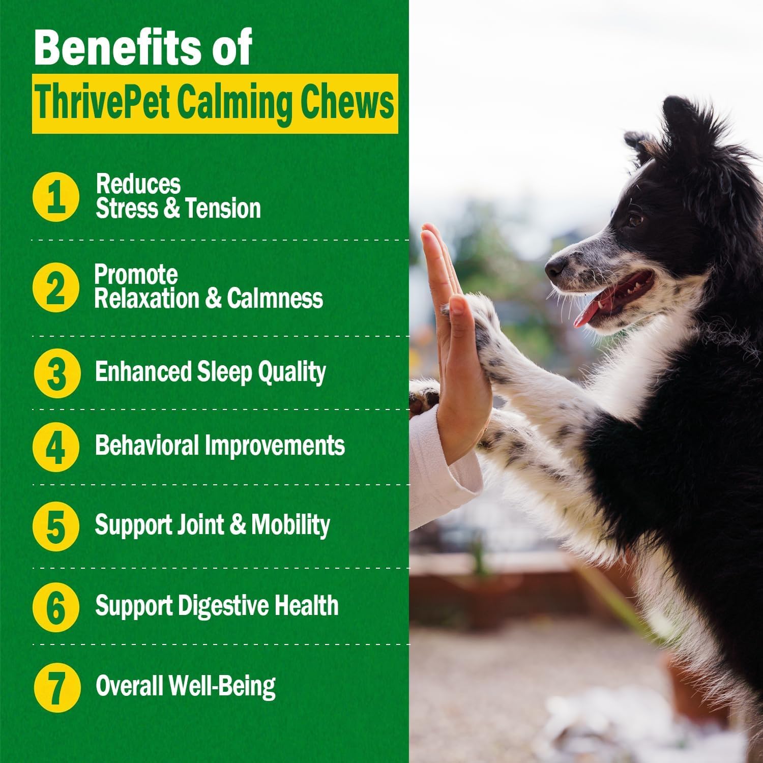 (2 Pack) Hemp Calming Chews for Dogs - 240 Count | Duck Flavor - Puppy Dog Calming Treats Supplement for Storm Anxiety, Sleep, R