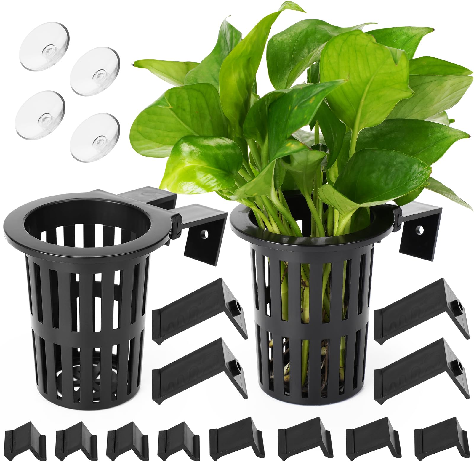 2025 New Upgraded Large Aquarium Plant Holder with 1.57-inch Extension Hooks and Suction Cups for Fish Tank Aquaponic Plant Cult