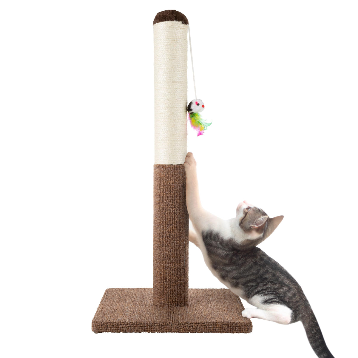 Petmaker Cat Scratching Post - Tall Scratcher For Cats And Kittens With Sisal Rope And Carpet, Hanging Mouse Toy For Interactive Play (24.5 Inch)