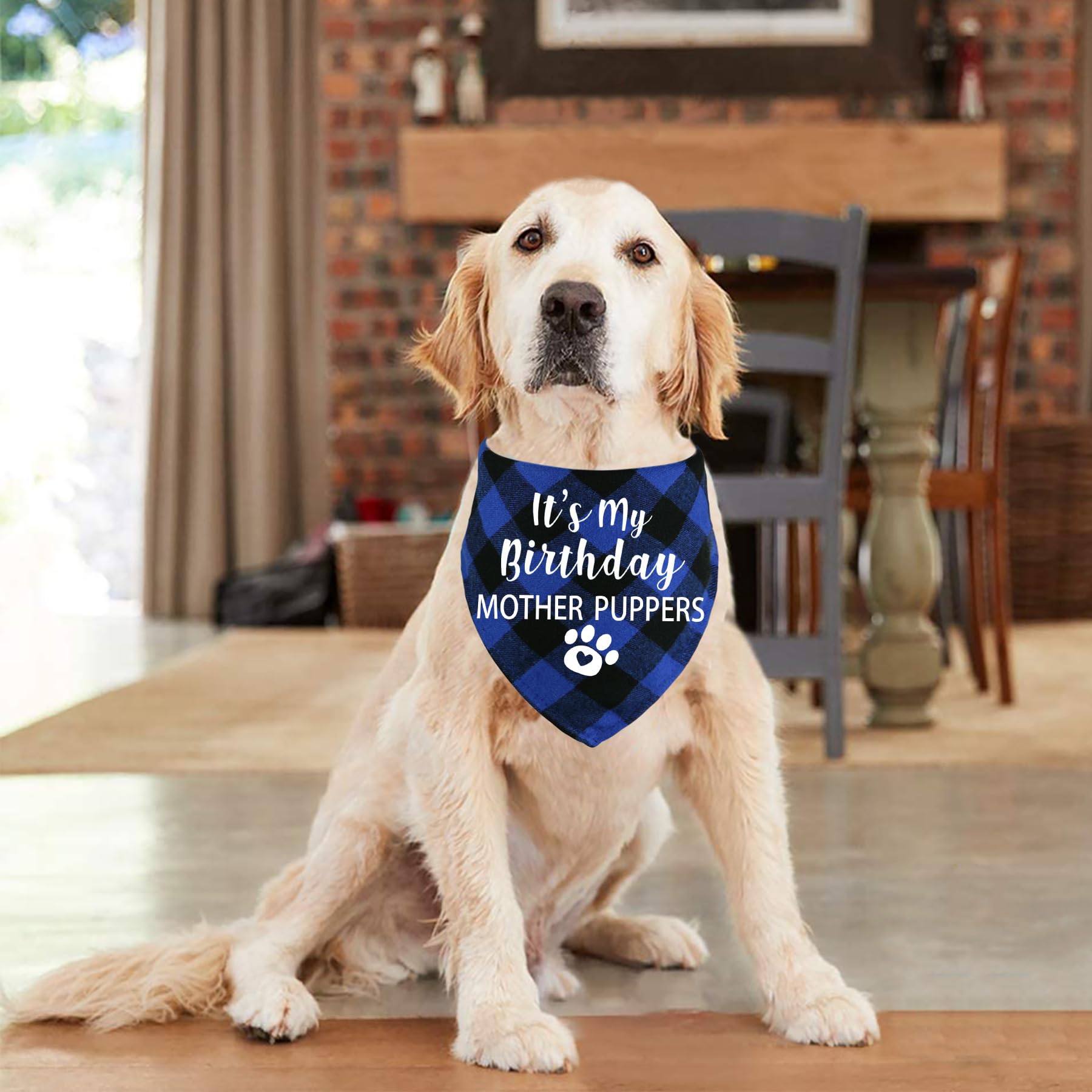Stmk Dog Birthday Bandana, It' S My Birthday Mother Puppers Multi Sizes Dog Birthday Boy Bandana For Small Medium Large Dogs Cat