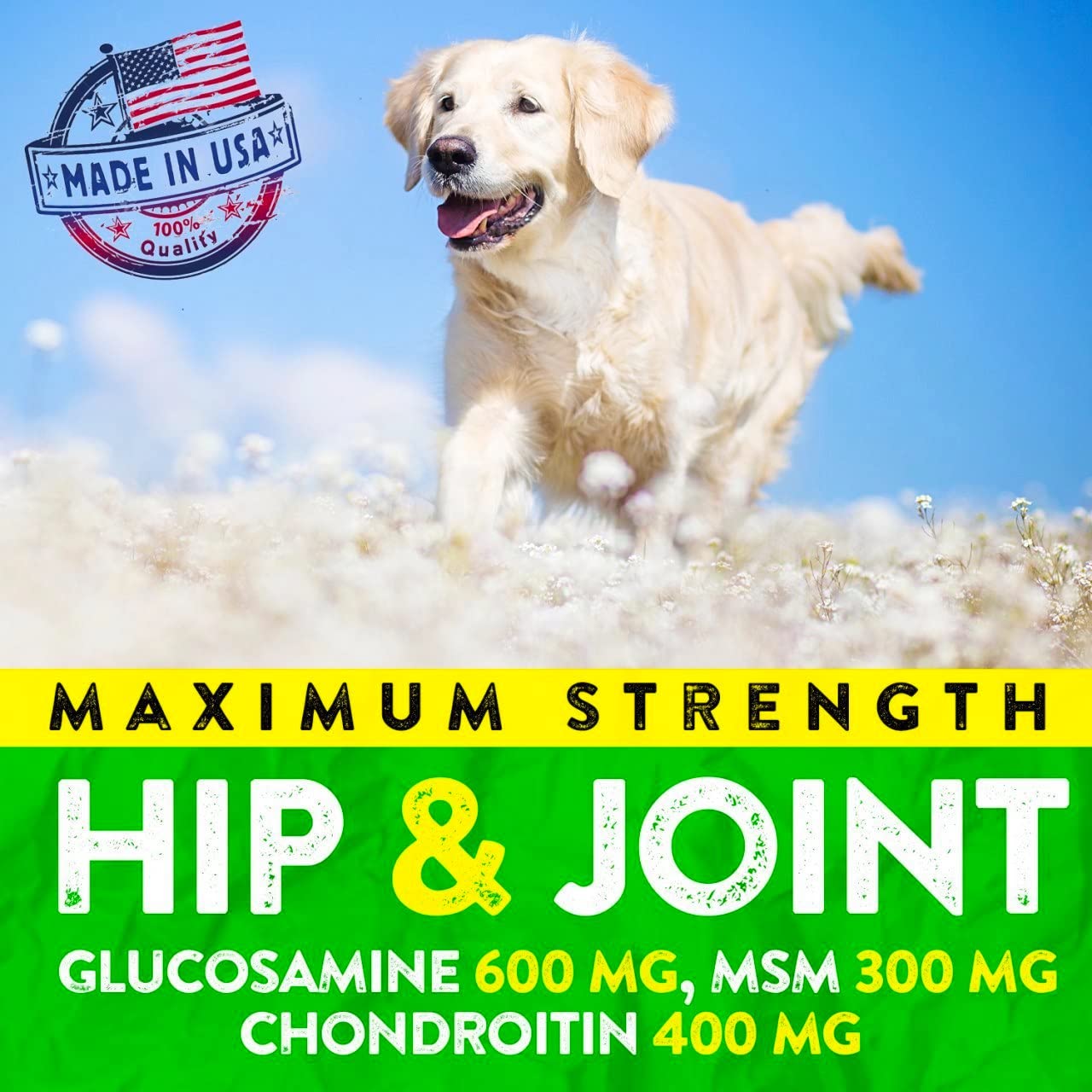 Hemp Hip and Joint Supplement for Dogs - Glucosamine for Dogs - 170 Dog Joint Pain Relief Treats - Chondroitin, Hemp Oil, MSM -