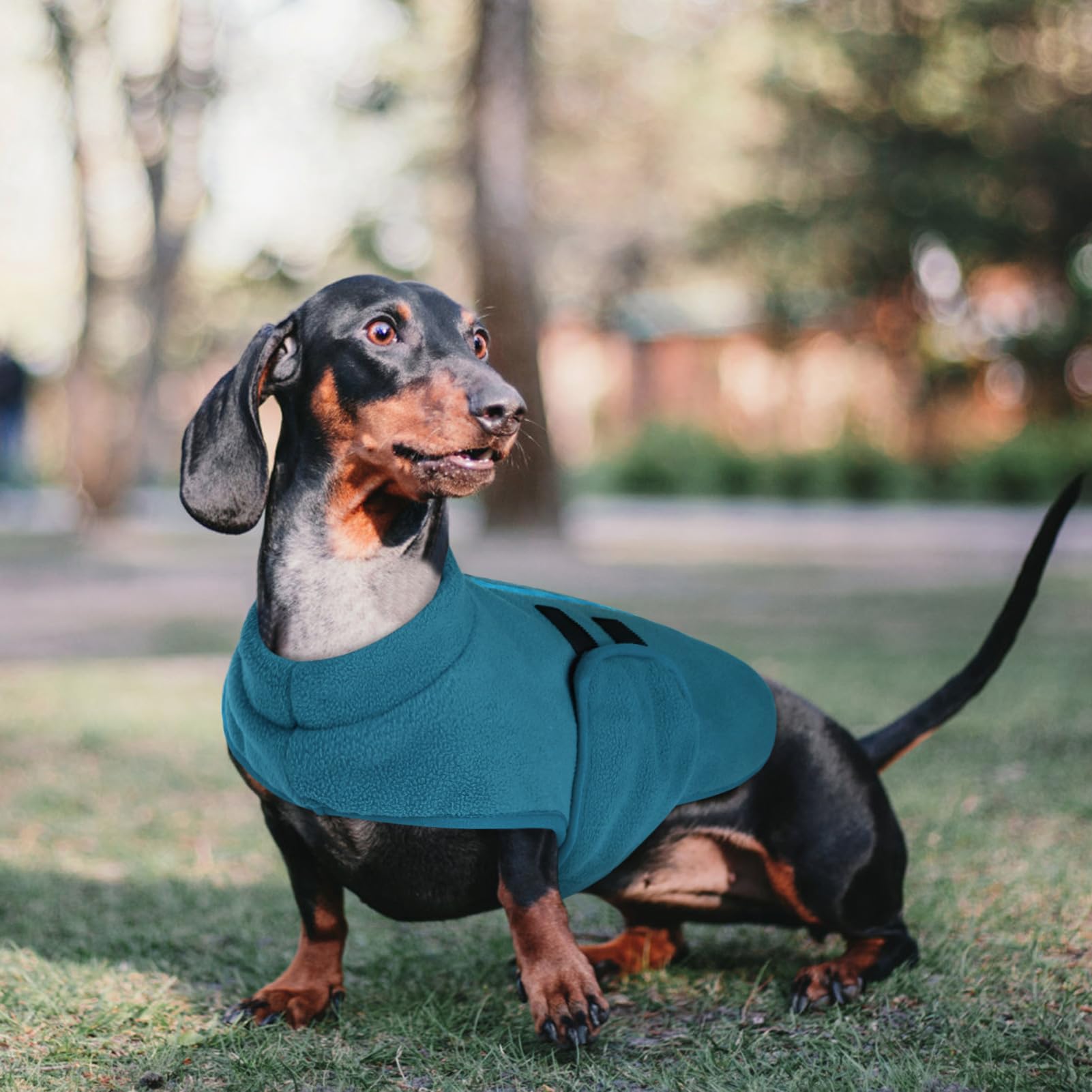 Queenmore Small Dog Sweaters, Soft Fleece Vest Pullover Dog Jacket With Leash Hole, Warm Winter Dog Clothes Cold Weather Doggy Dachshund Sweater For Small Dogs Cats Boy Or Girl (Peacock-Blue, Xs)