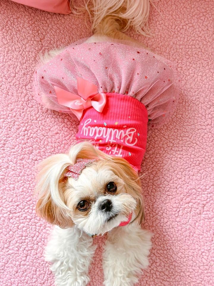 Fitwarm It'S My Birthday Dog Dress - Pink Bowknot Dog Clothes For Small Female Puppy, Xxs