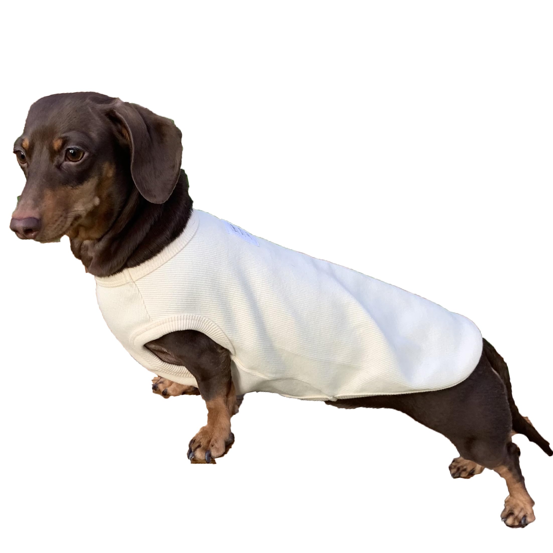D Doggy Star Dachshund Clothes For Dogs Mini And Adults T Shirts (L,Solid Ivory)