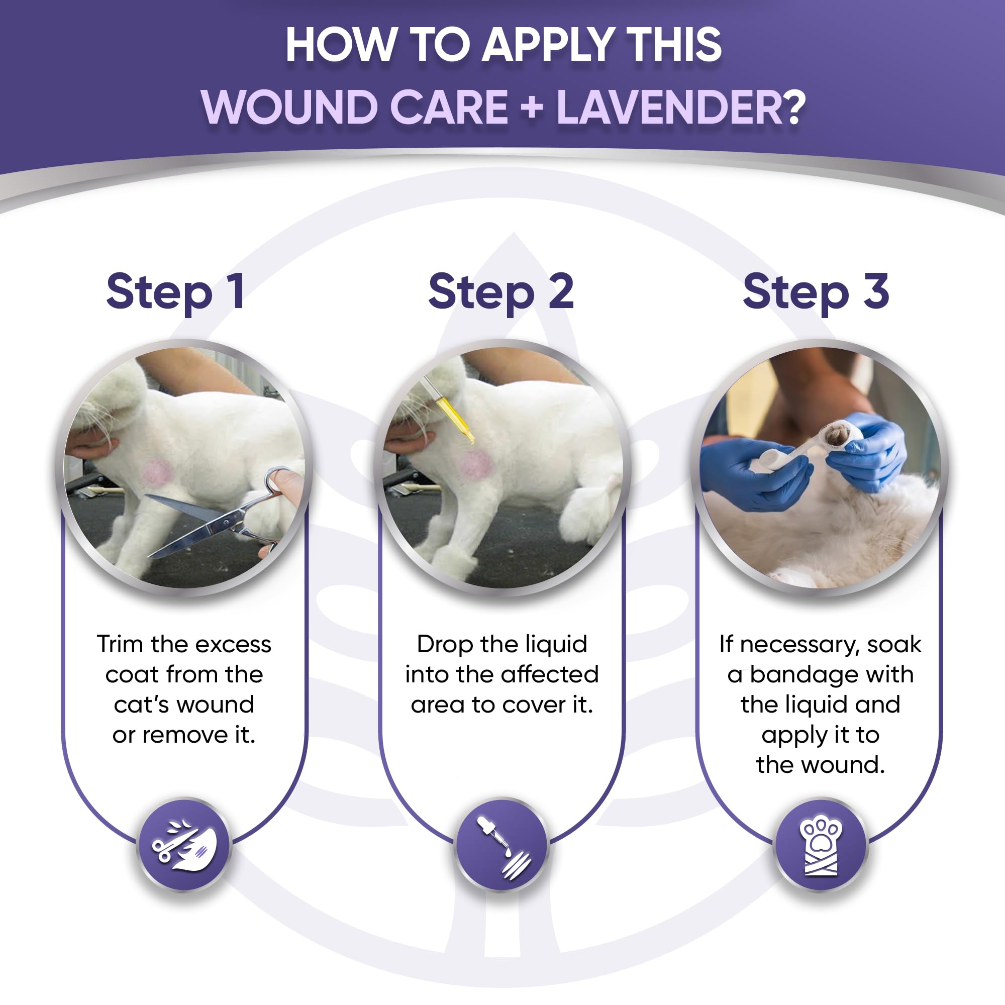 Cat Wound Care in Drops | Wound Care + Lavender | Lavender & Vitamin E Drops | Natural Ingredients | All Ages and Breeds | 2 Oz