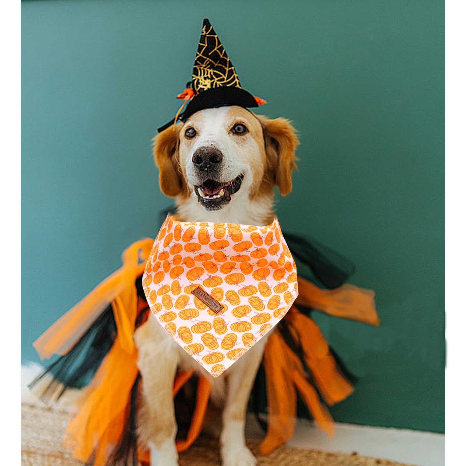 Lionheart Glory Fall Dog Bandana - Halloween Pumpkin Washable Soft Dog Scarf Adjustable For Small Dogs