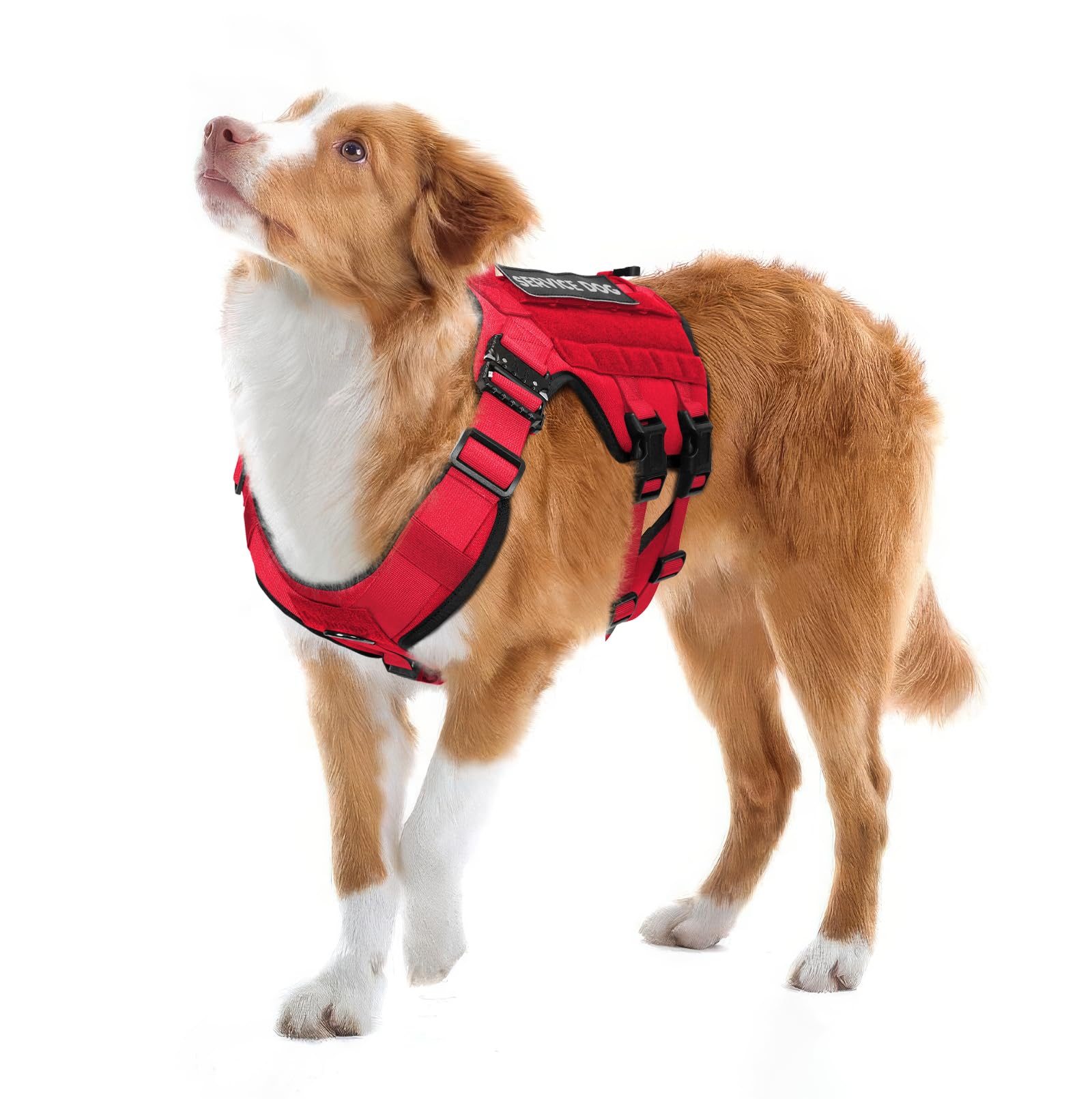 Petnanny Tactical Dog Harness - Service Dog Harness Emotional Support Vest For Large Dogs, No Pull Esa With Hook & Loop, Working